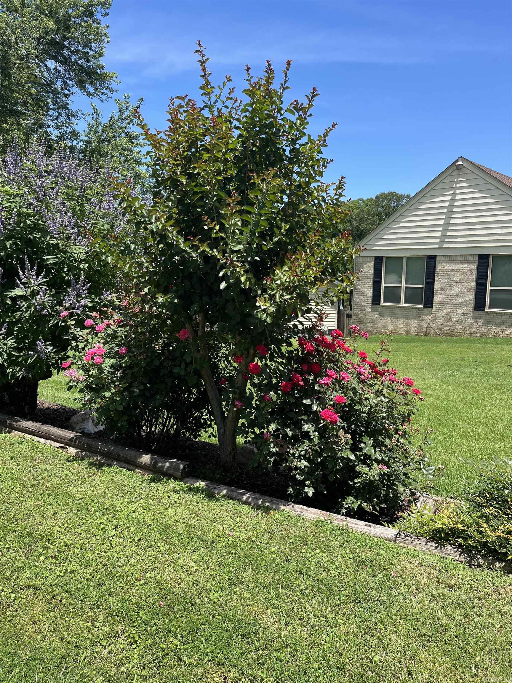 12  Arcadia  Bryant, AR