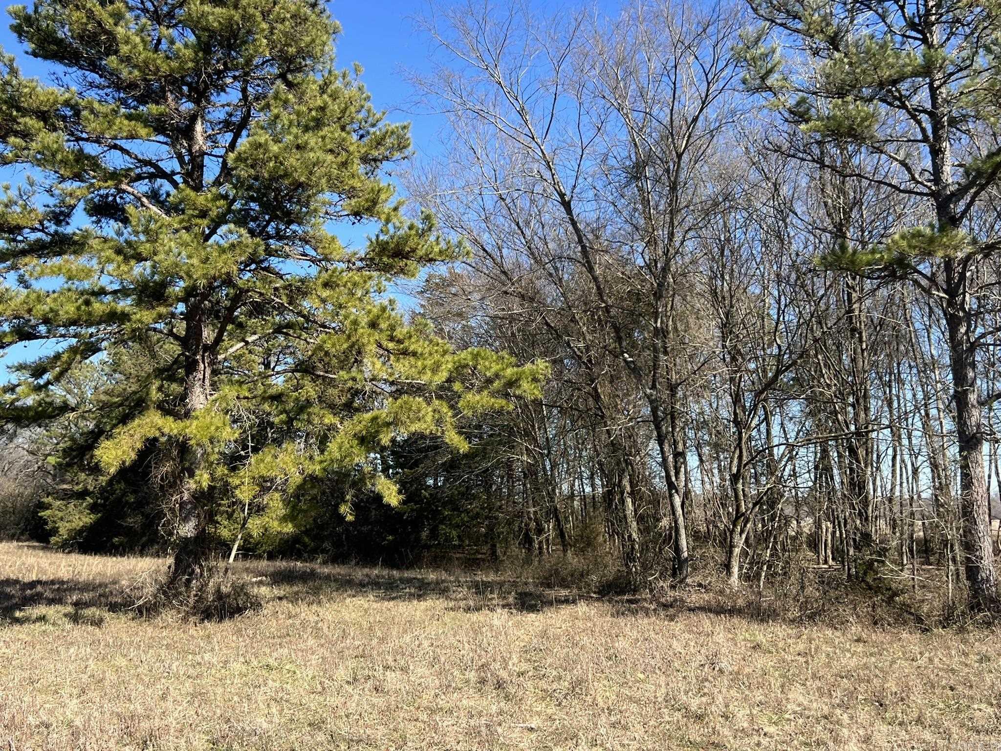 510  Old Waters Highway  Pine Ridge, AR