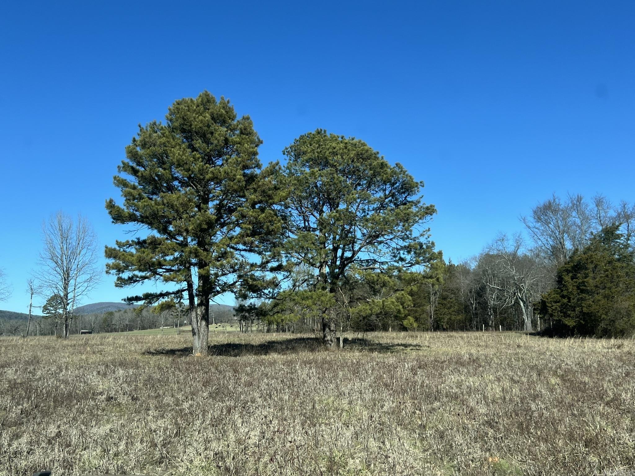 510  Old Waters Highway  Pine Ridge, AR