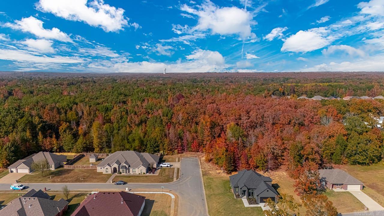 406  Merganzer  Jacksonville, AR