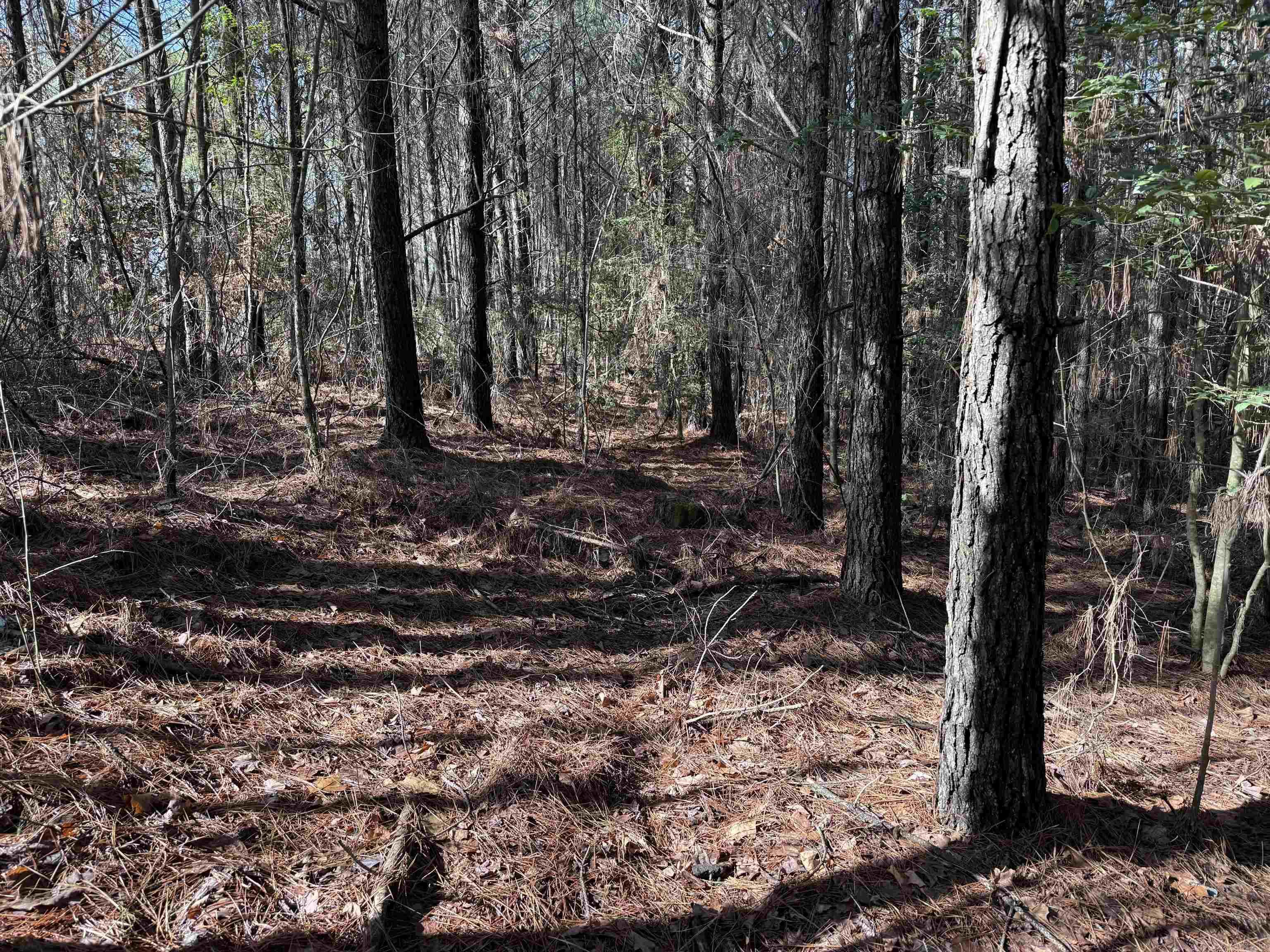 TBD  Polk Road 13  Wickes, AR