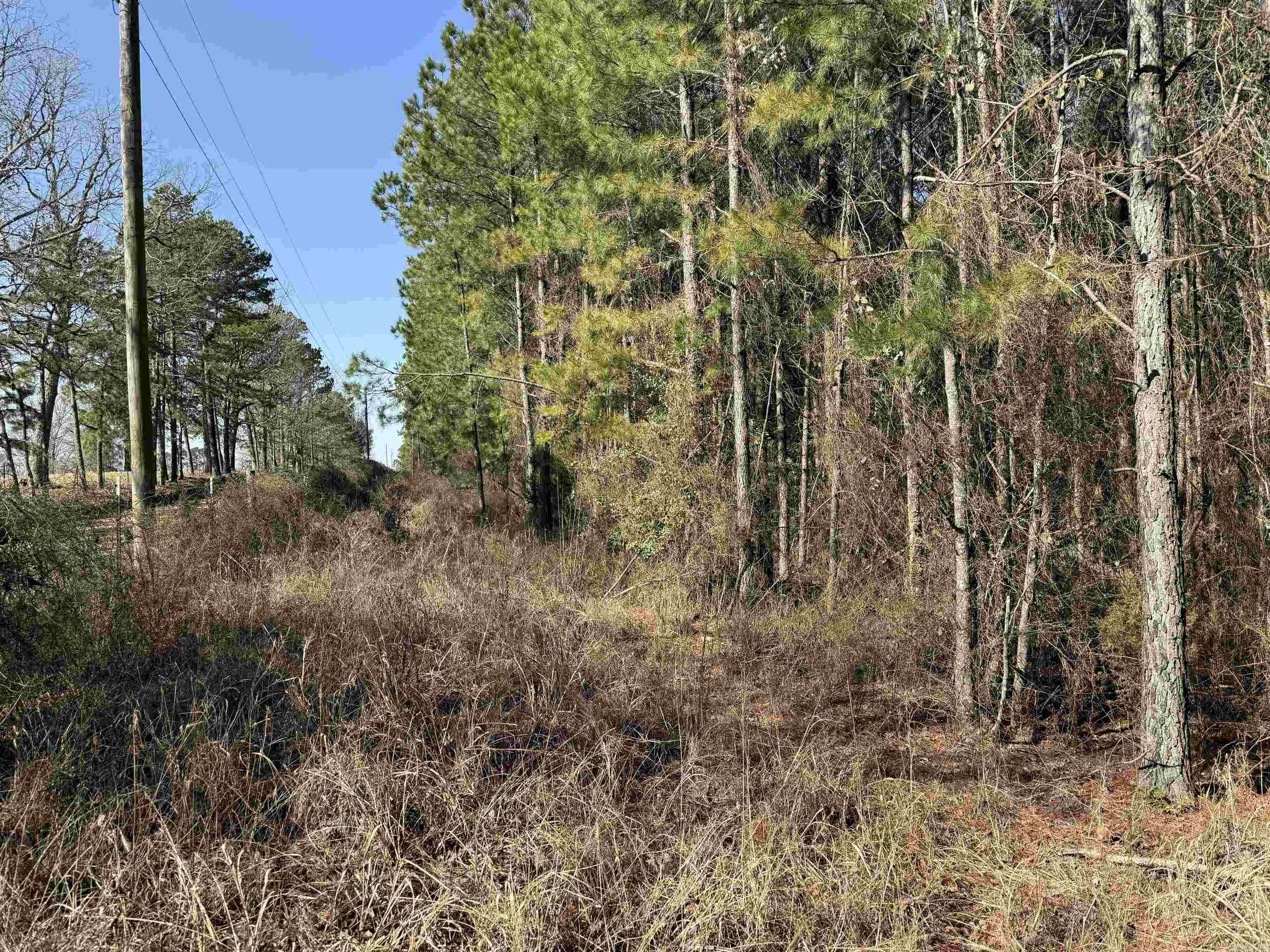 TBD  Polk Road 13  Wickes, AR