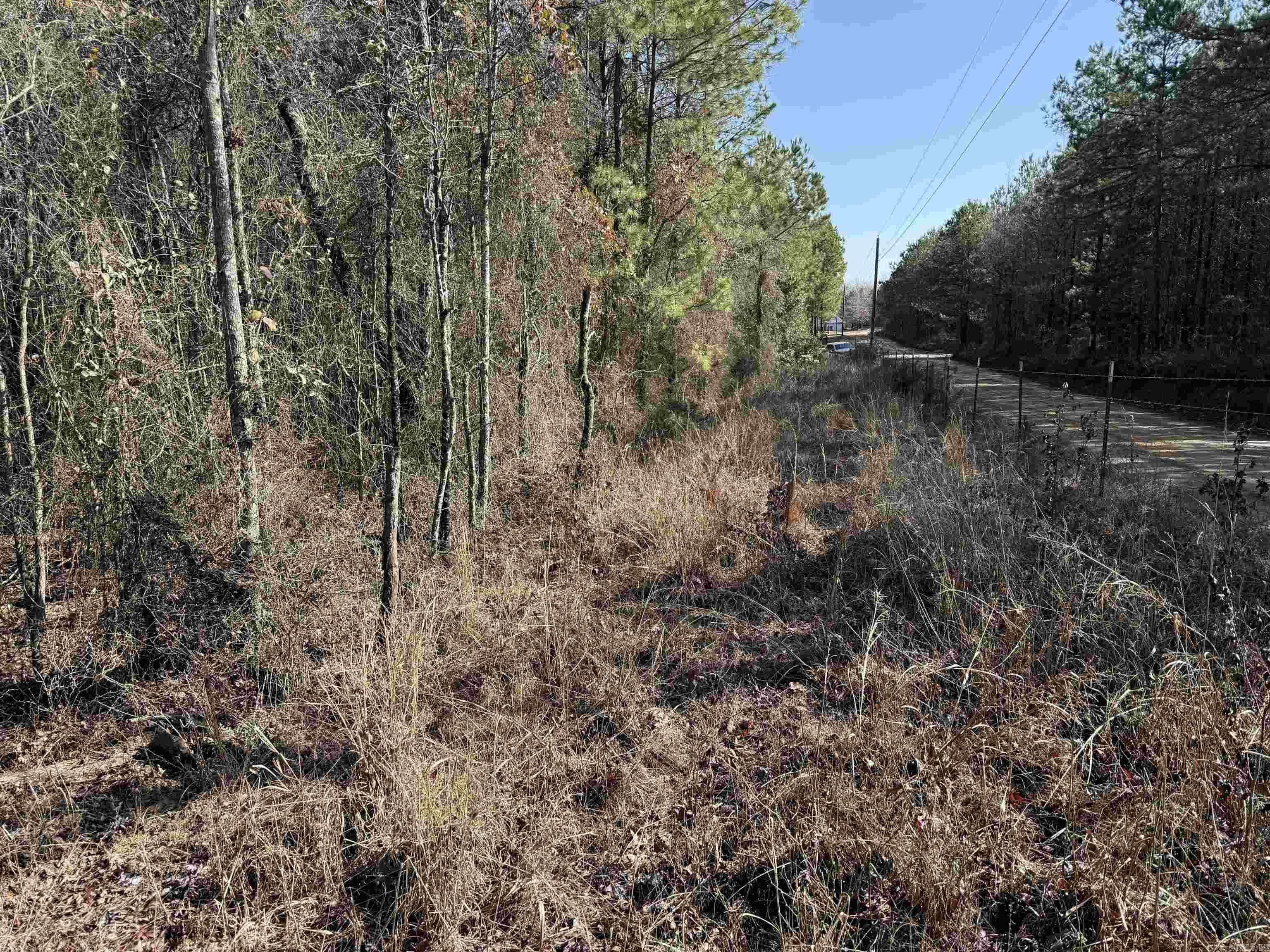 TBD  Polk Road 13  Wickes, AR