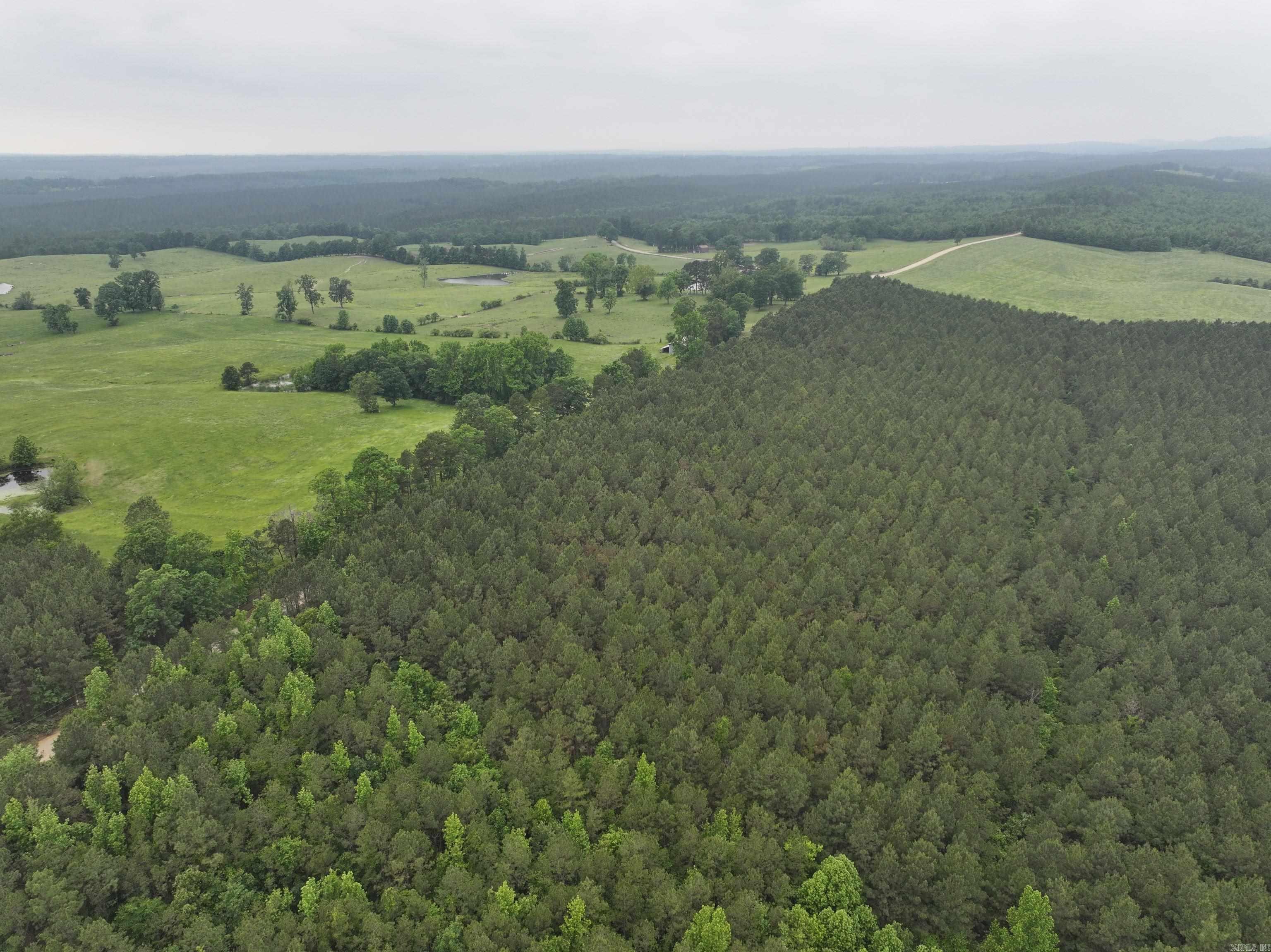 TBD  Polk Road 13  Wickes, AR