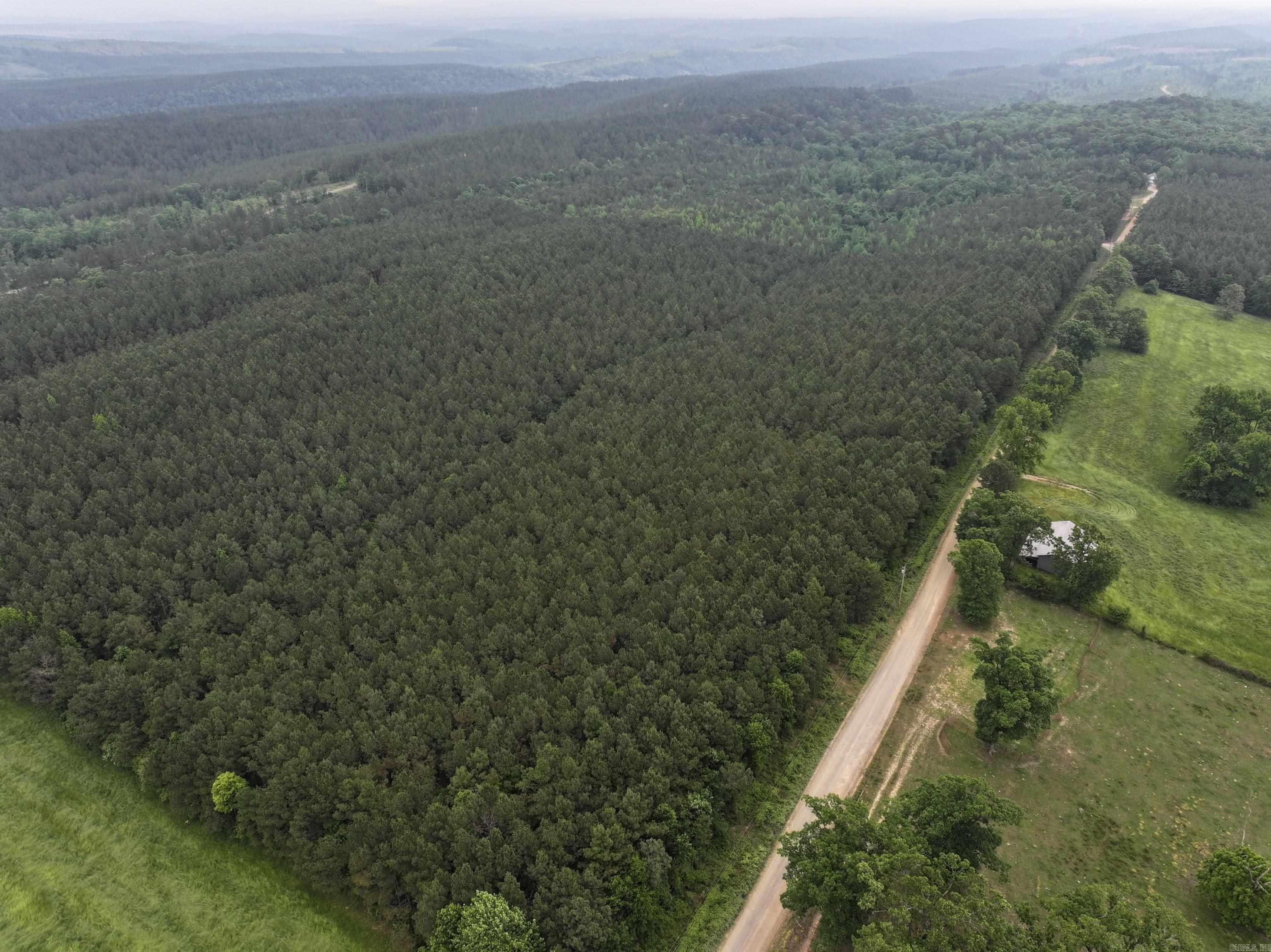 TBD  Polk Road 13  Wickes, AR