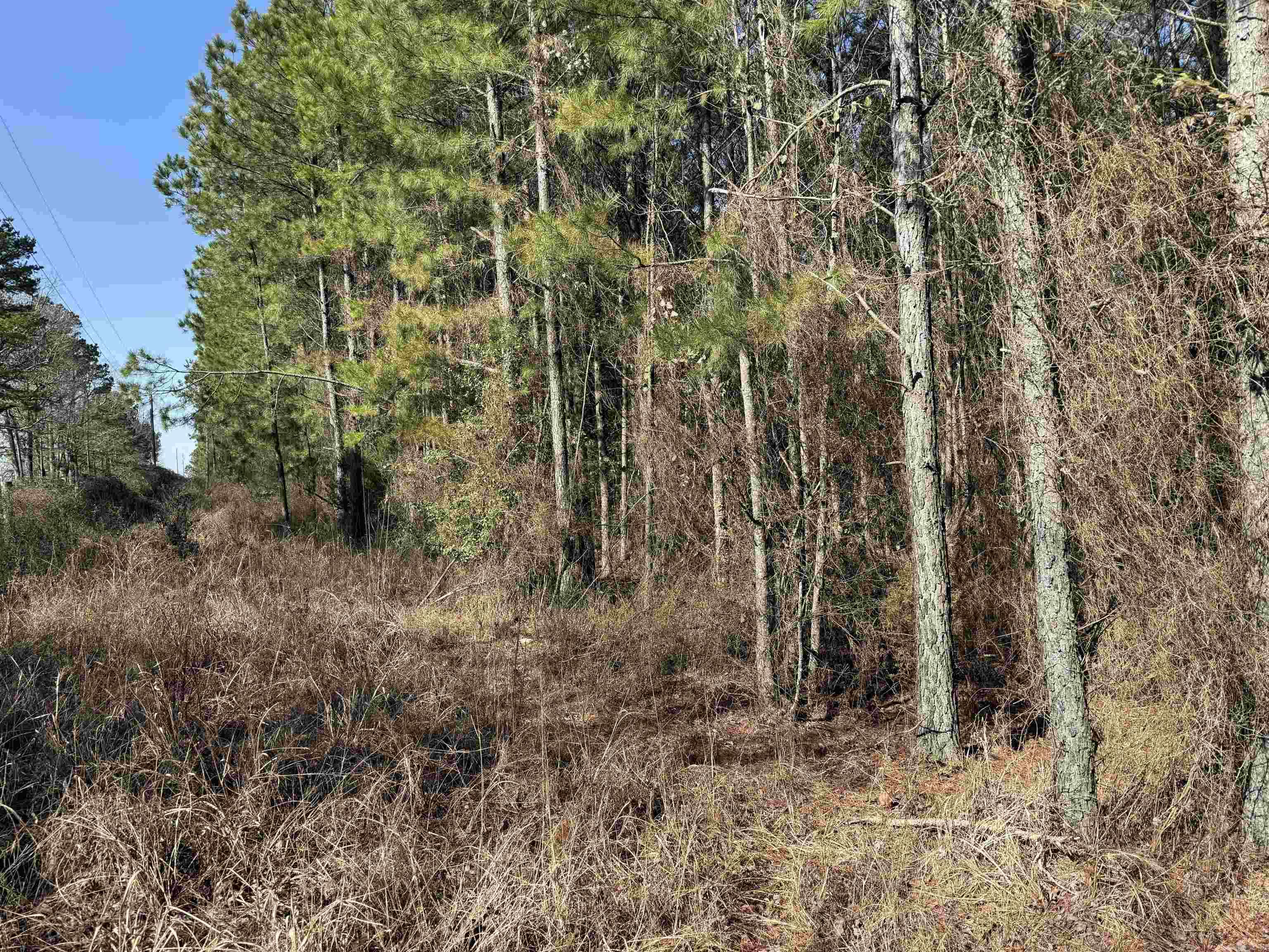 TBD  Polk Road 13  Wickes, AR