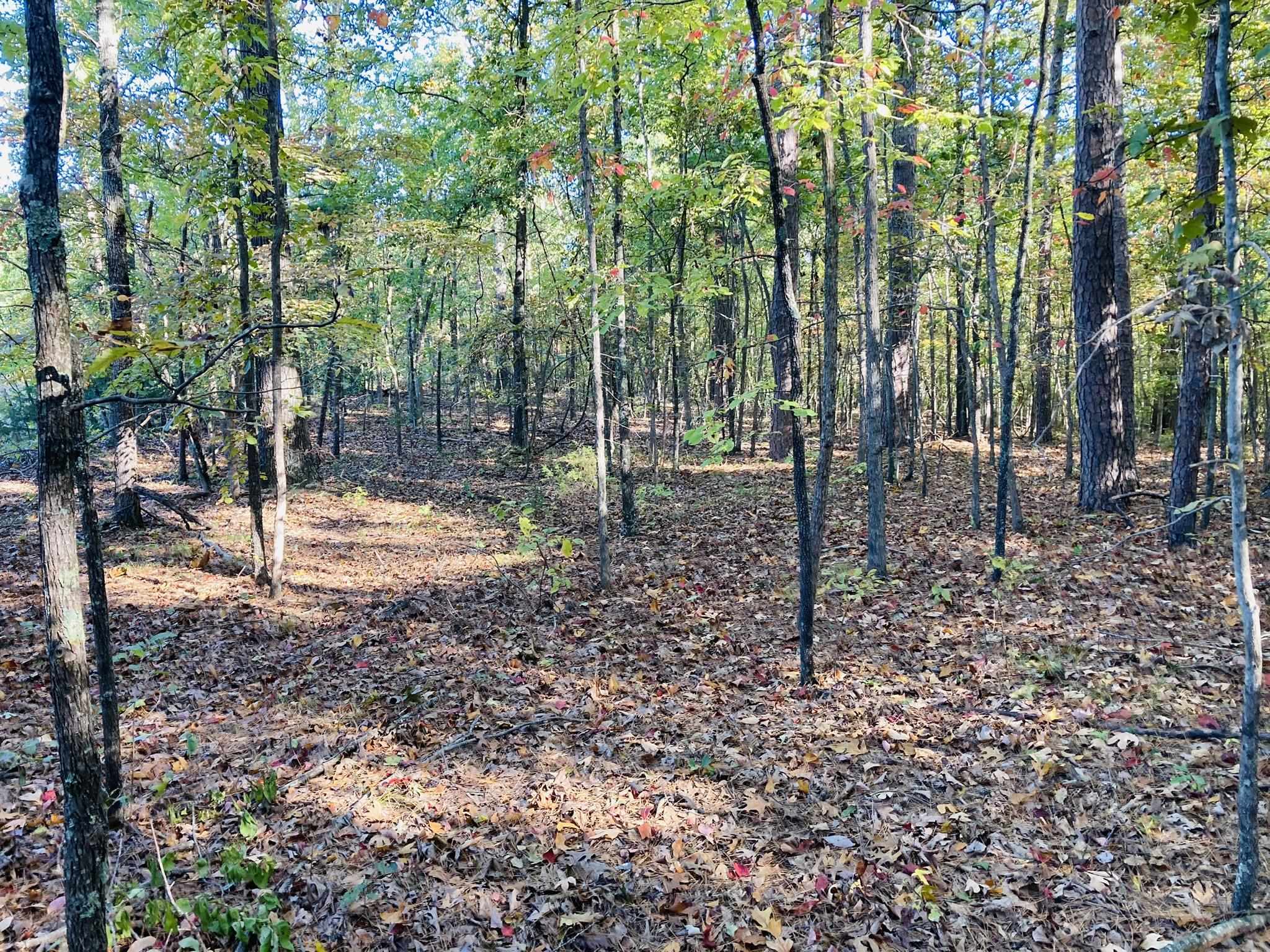 6A  Knob Creek Road  Melbourne, AR