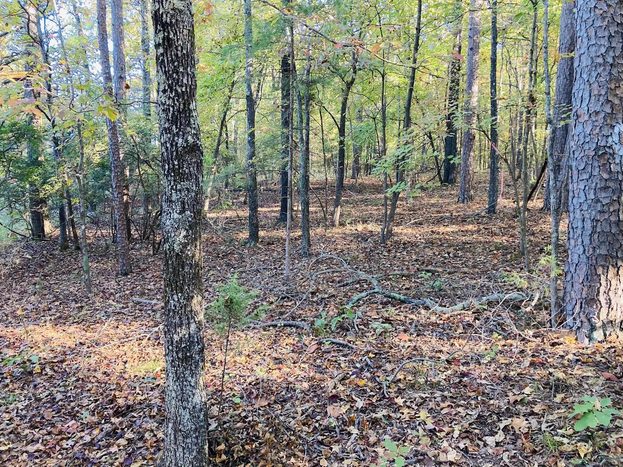 6A  Knob Creek Road  Melbourne, AR