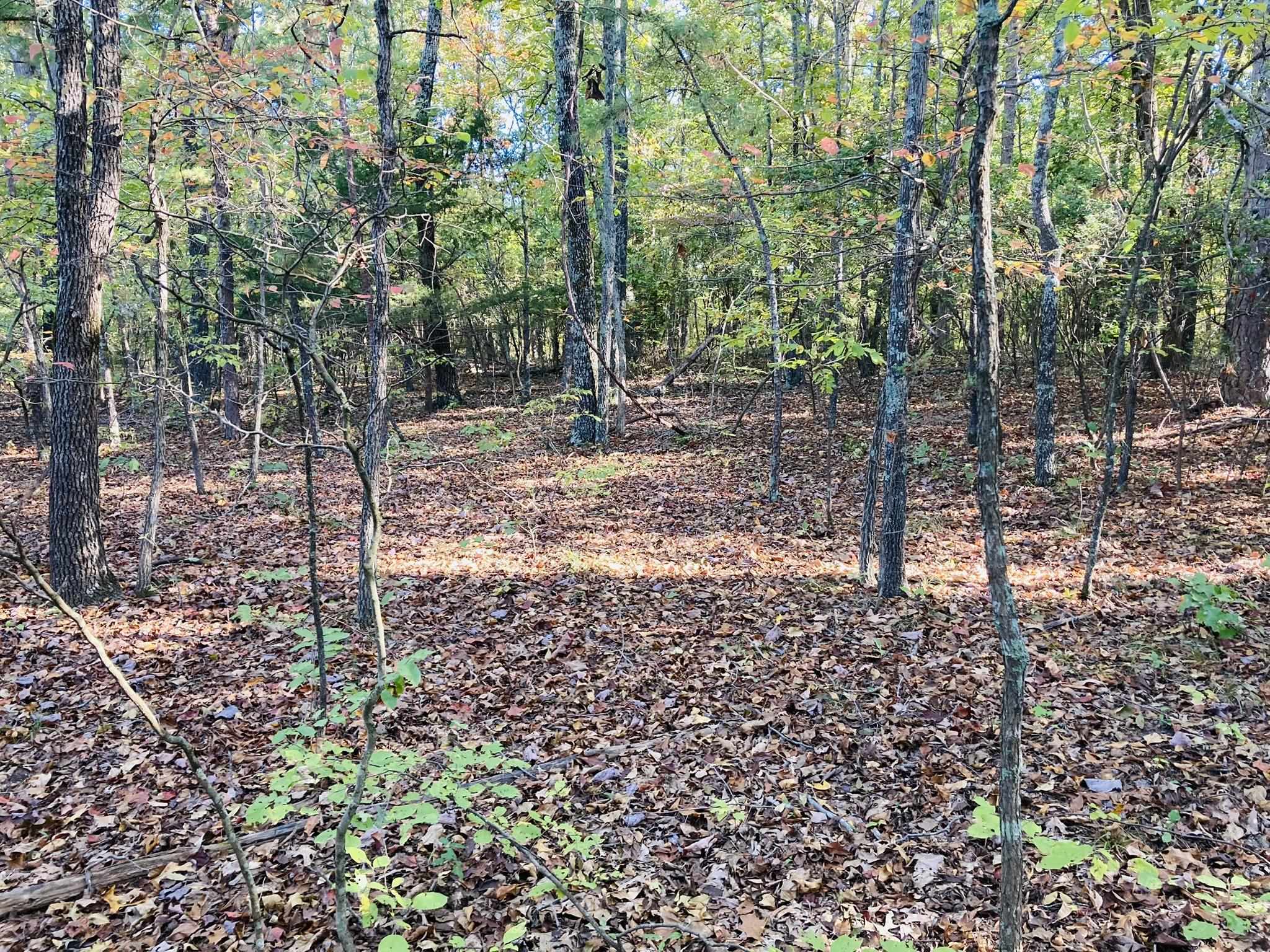 6A  Knob Creek Road  Melbourne, AR
