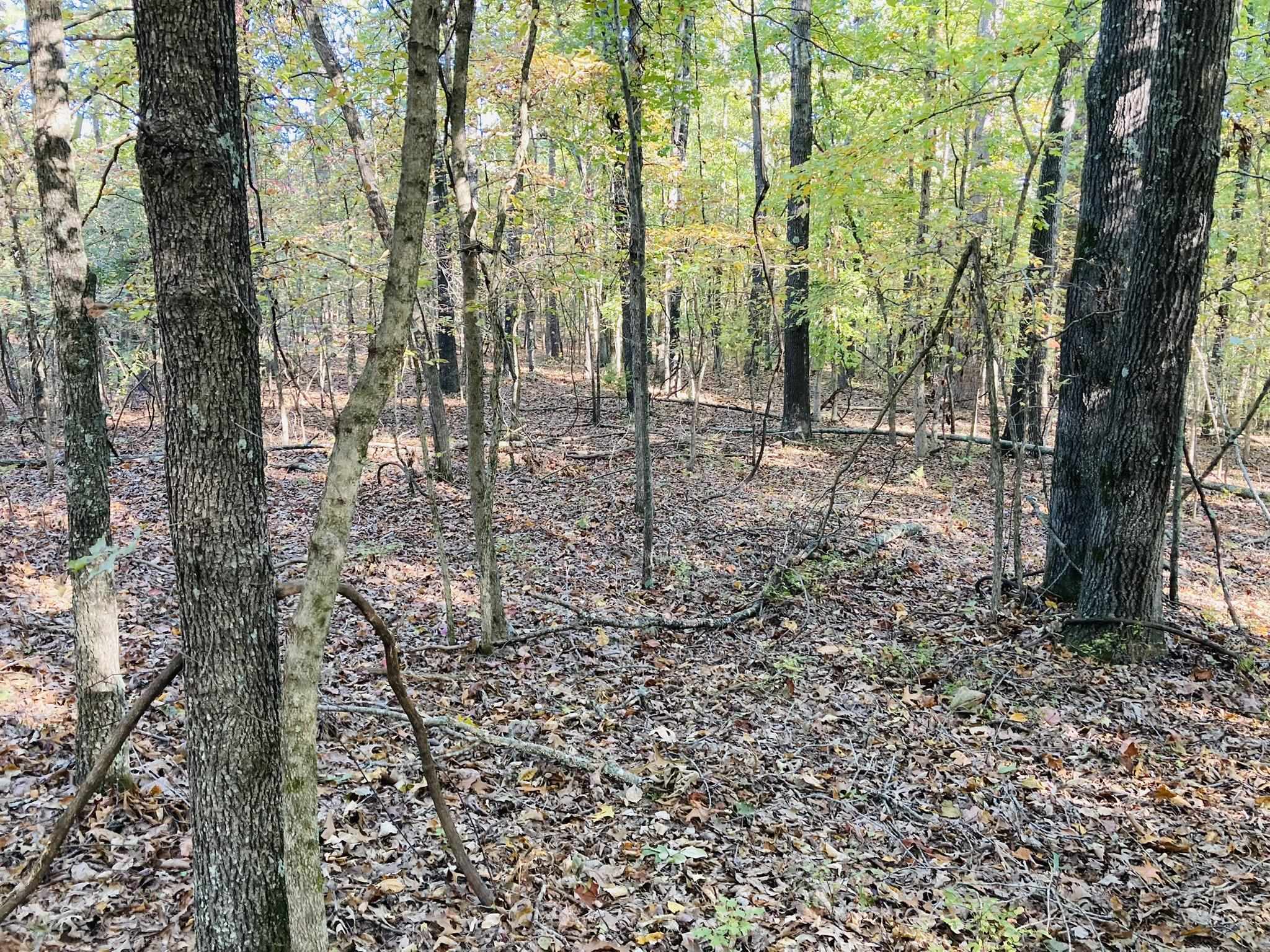 6A  Knob Creek Road  Melbourne, AR