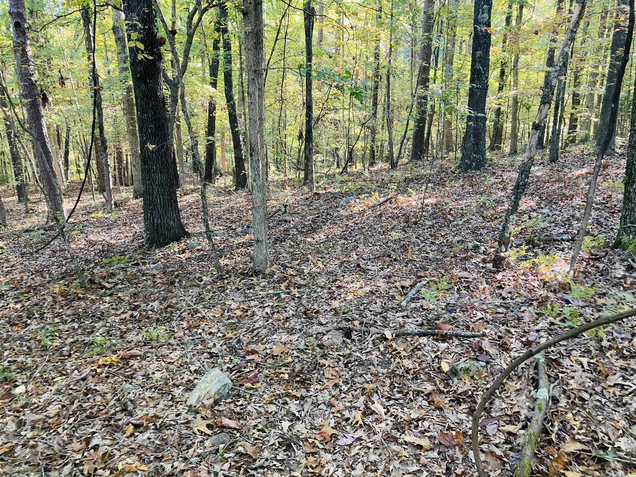 6A  Knob Creek Road  Melbourne, AR