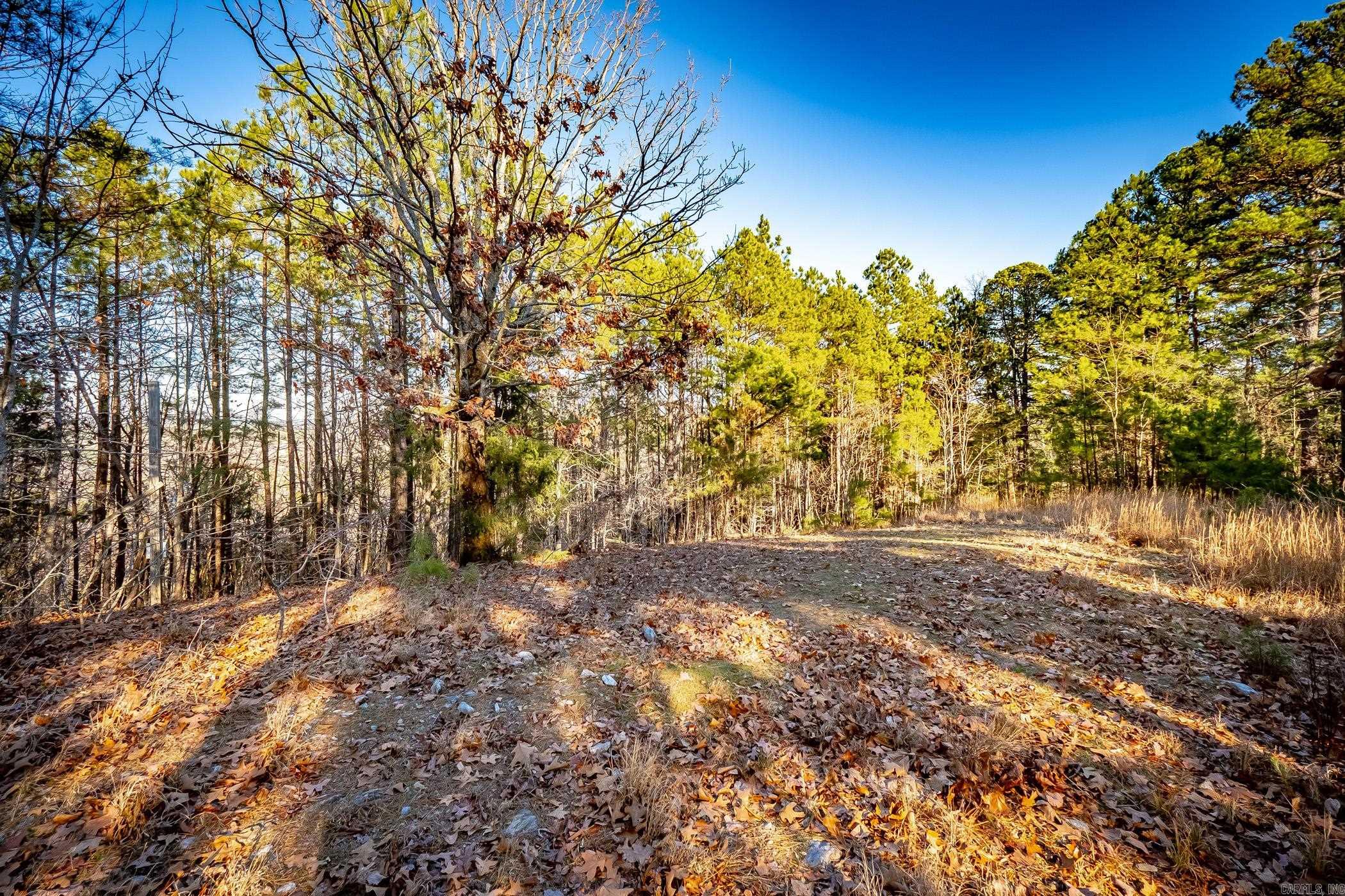1698  Golden Pond  Little Rock, AR