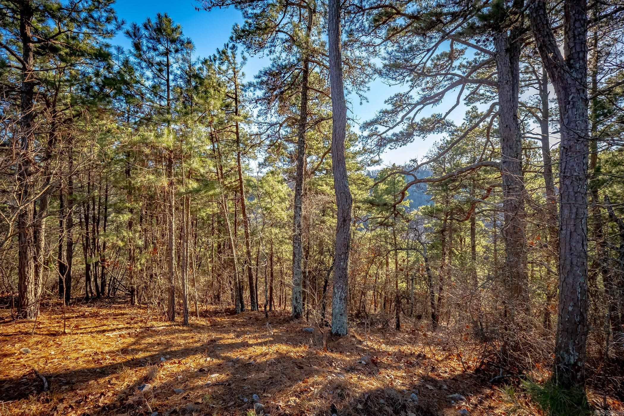 1698  Golden Pond  Little Rock, AR