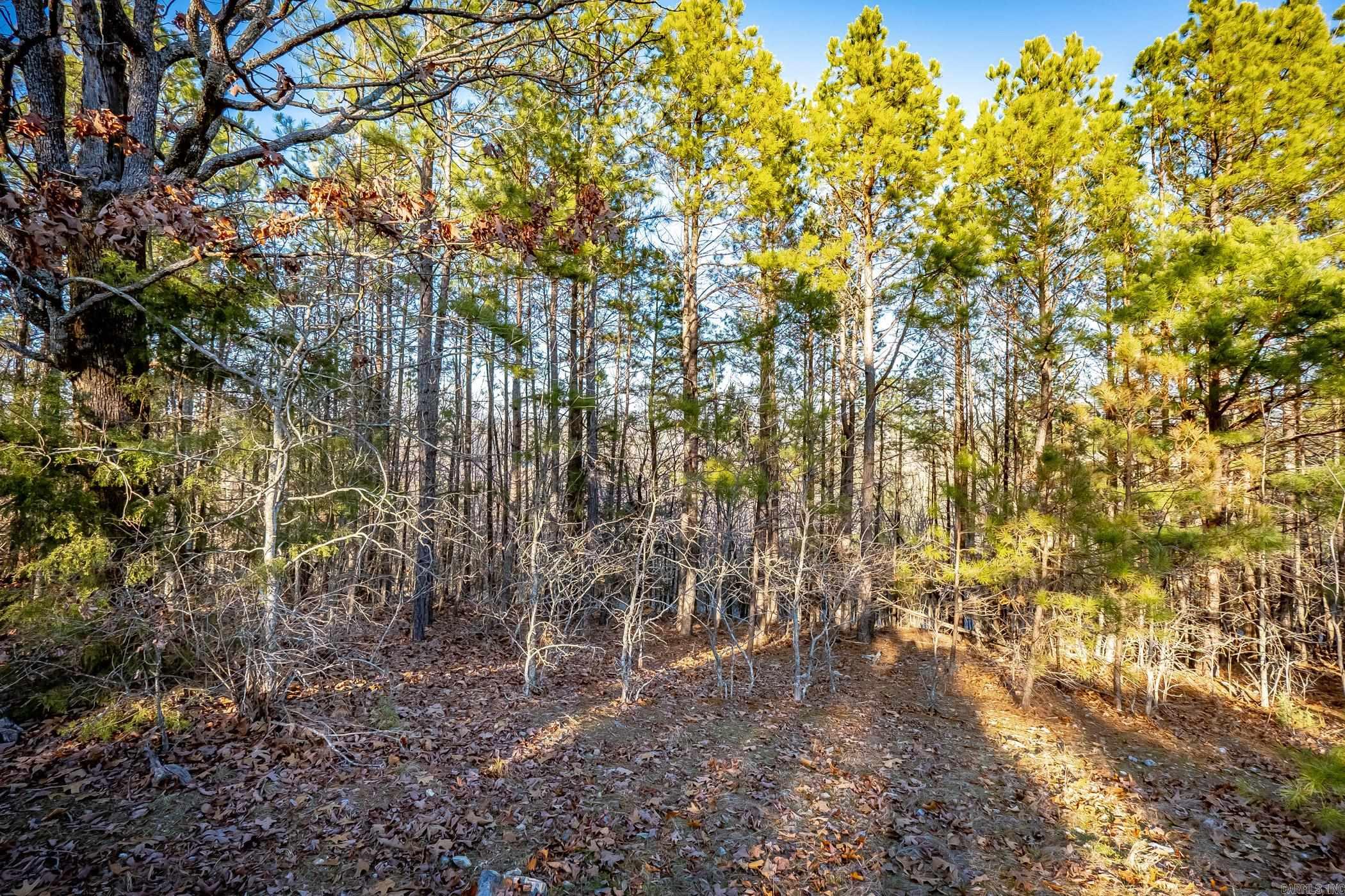 1698  Golden Pond  Little Rock, AR