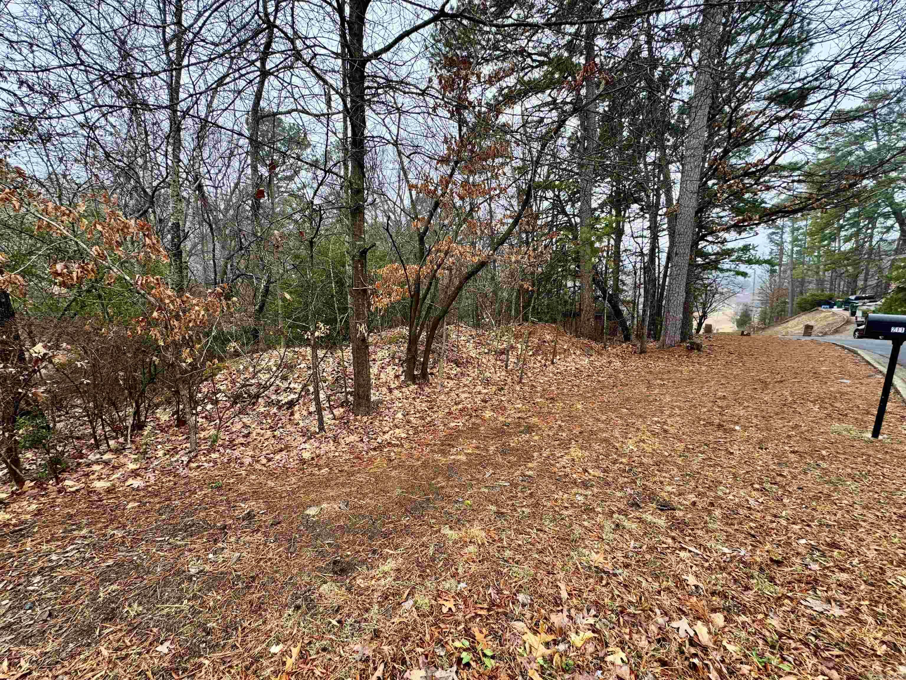 2110  Westport  Little Rock, AR