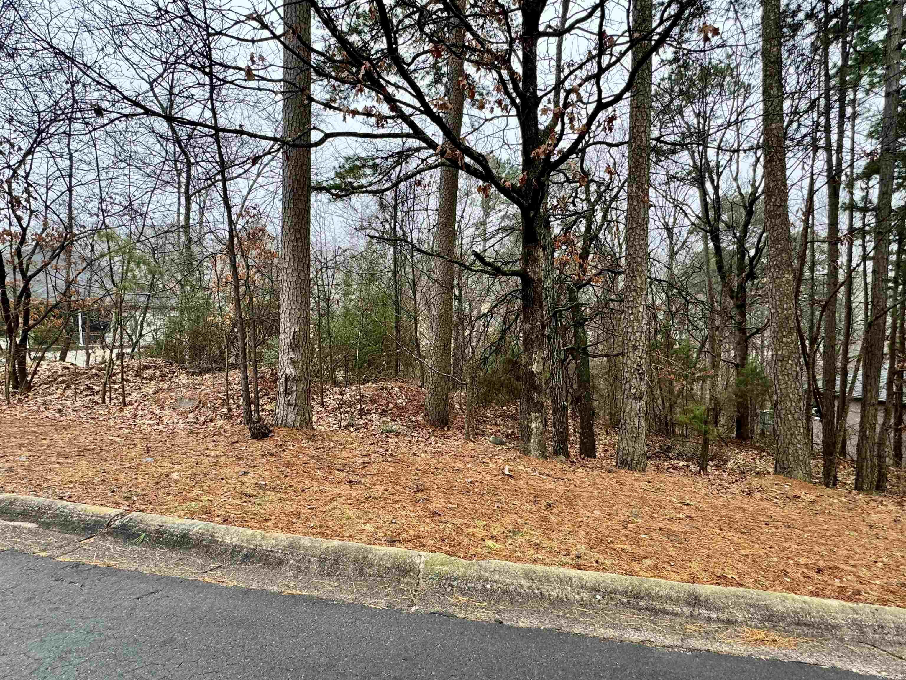 2110  Westport  Little Rock, AR