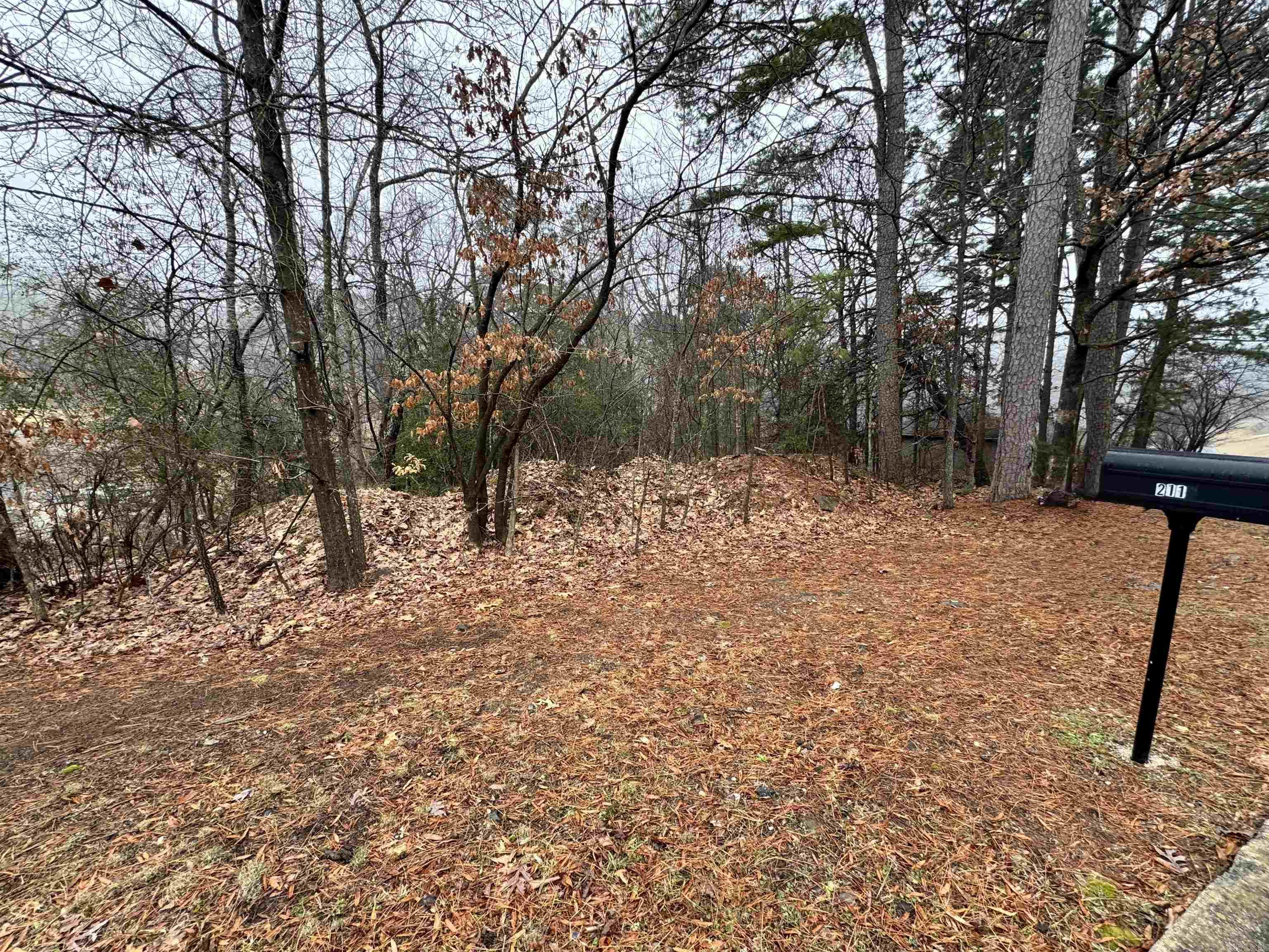 2110  Westport  Little Rock, AR