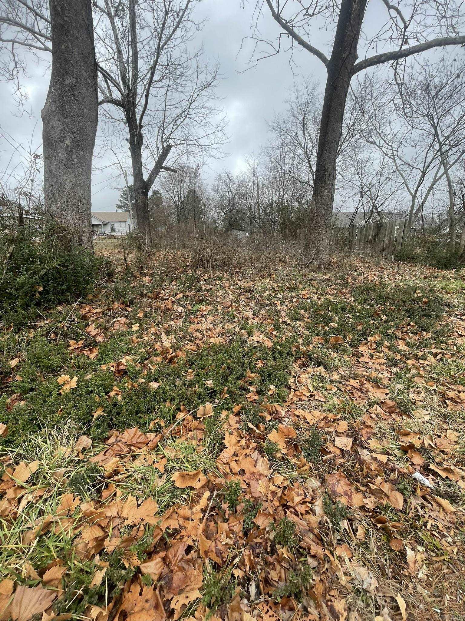 906  Elm Avenue  Mena, AR