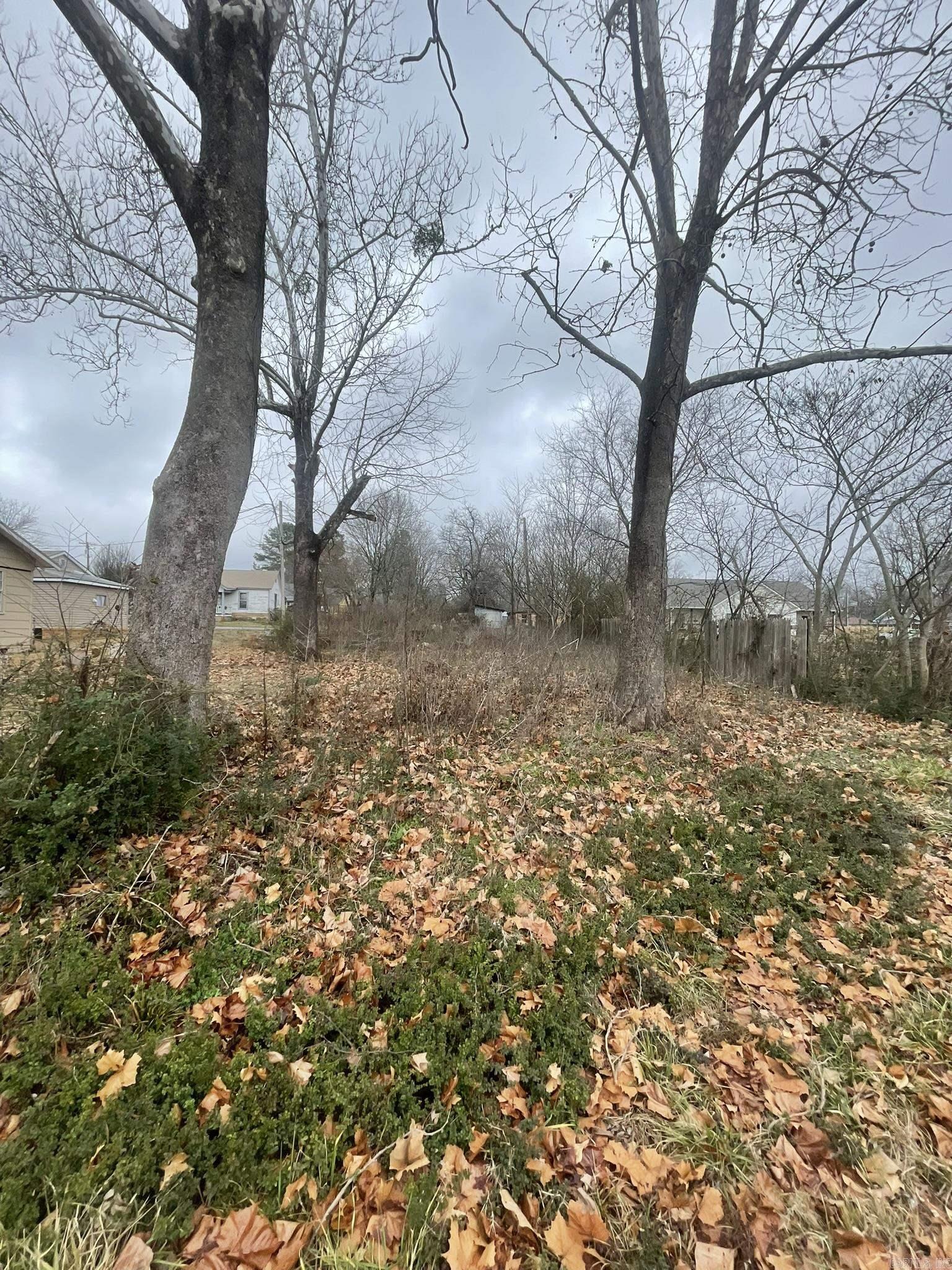 906  Elm Avenue  Mena, AR