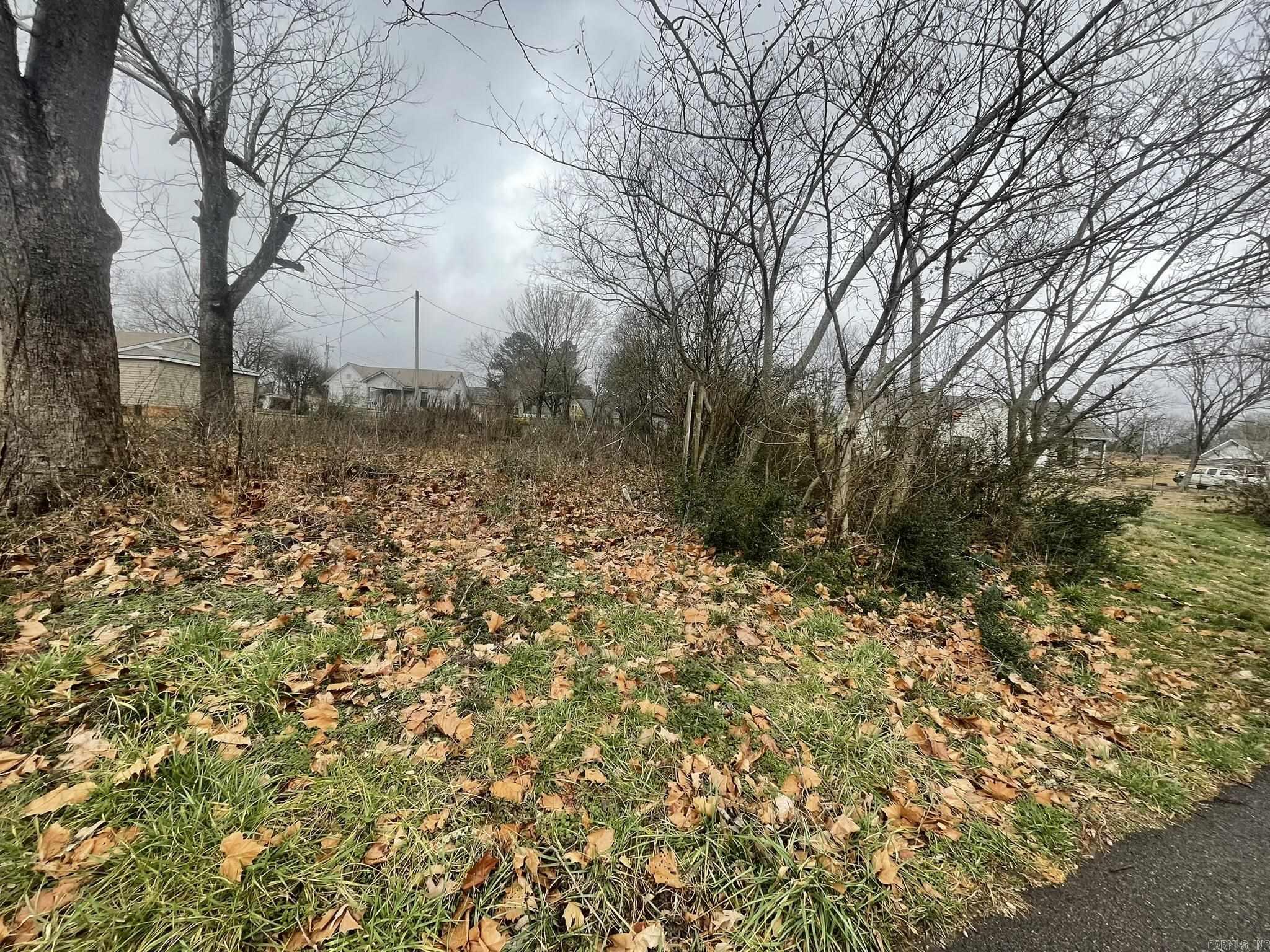 906  Elm Avenue  Mena, AR