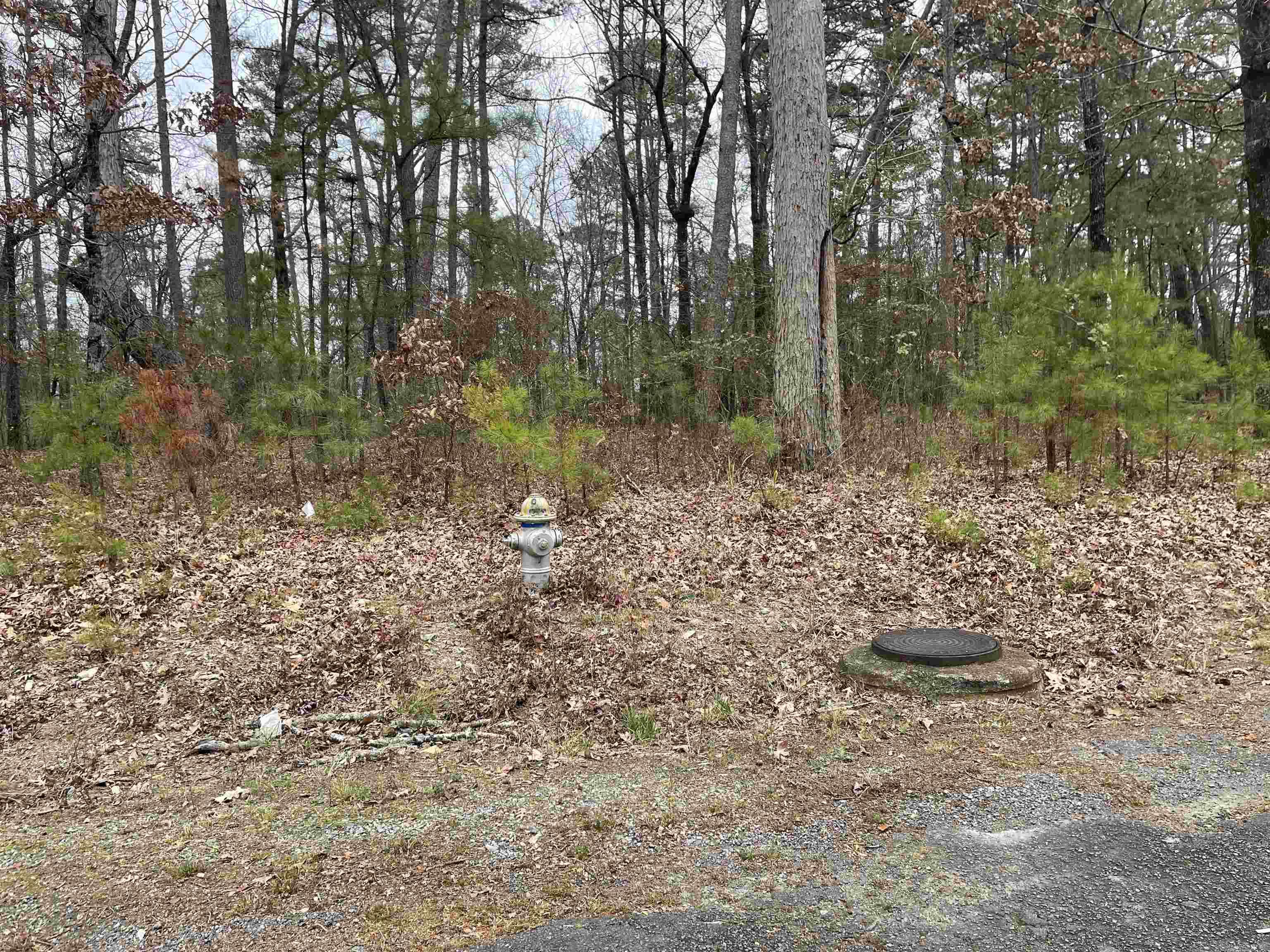 1430 @  Flintridge  Little Rock, AR