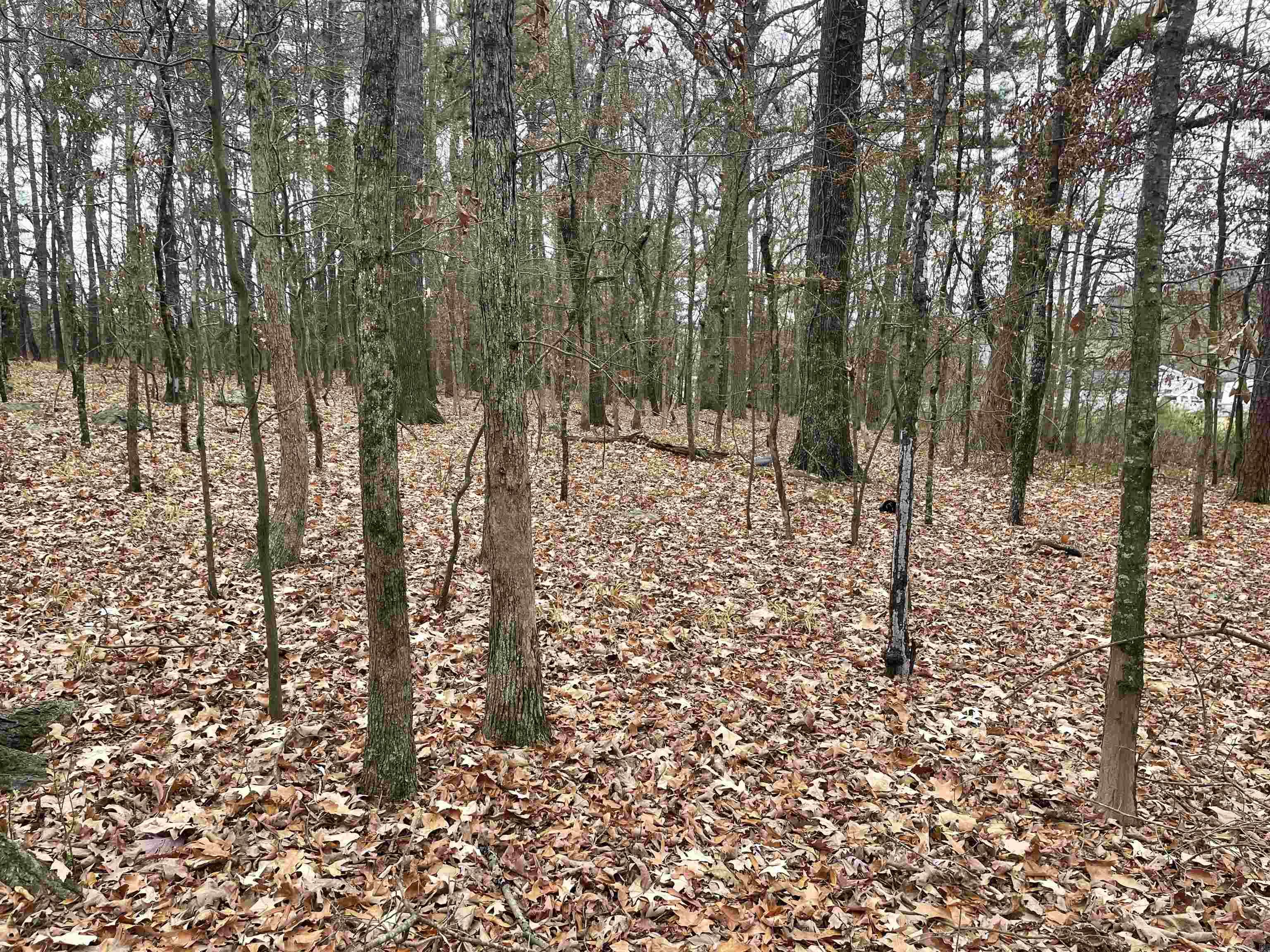 1430 @  Flintridge  Little Rock, AR