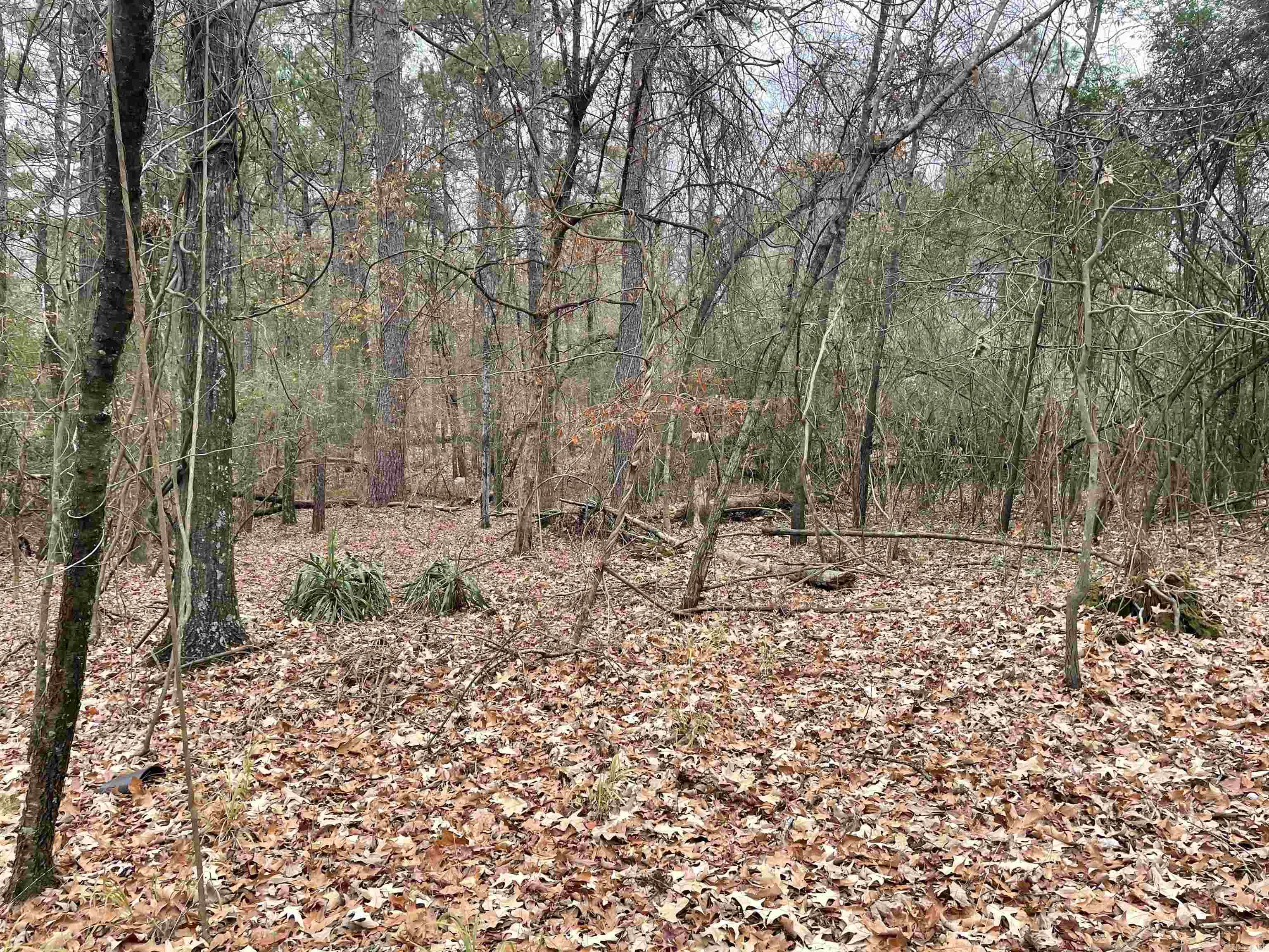 1430 @  Flintridge  Little Rock, AR
