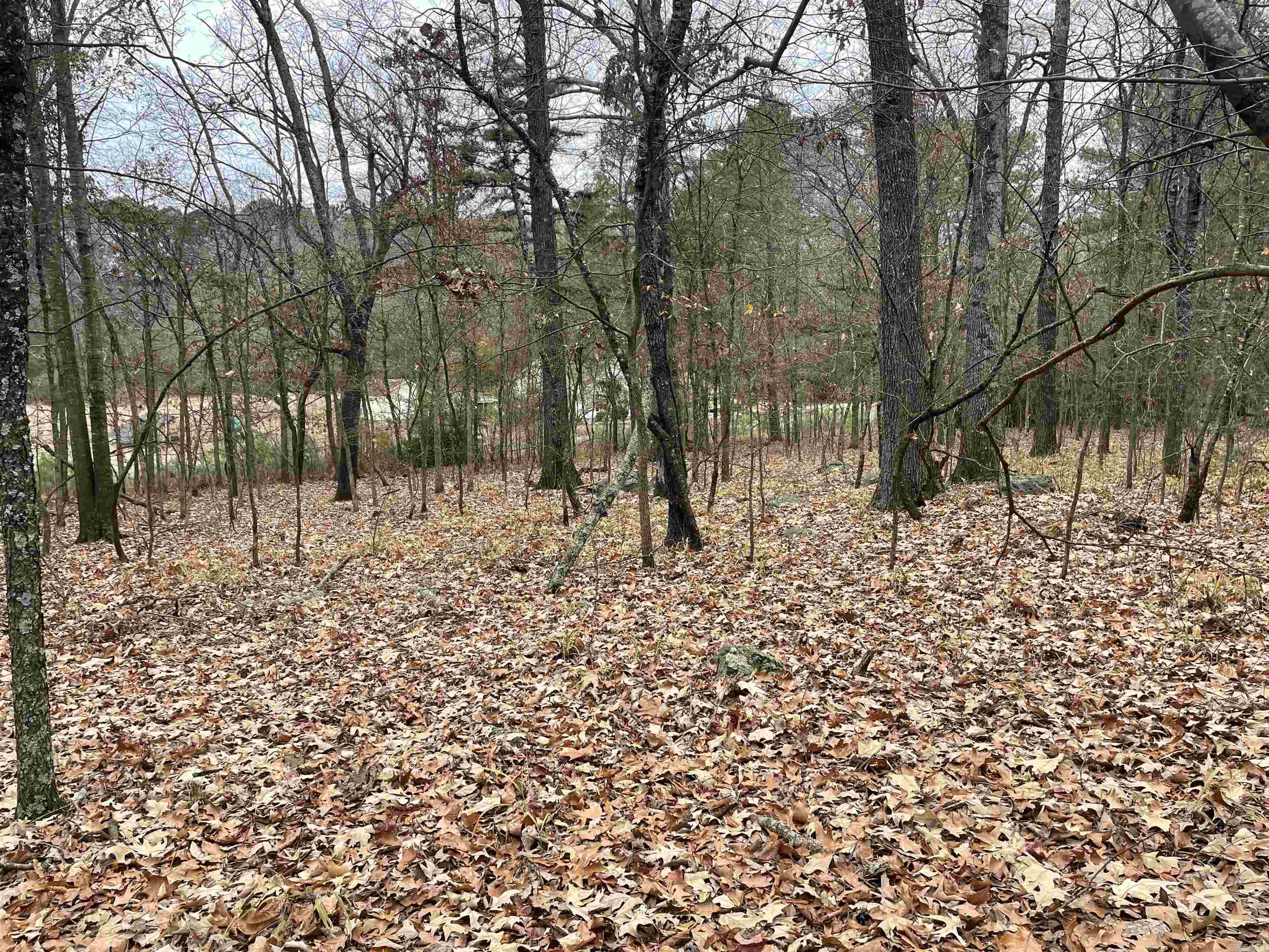 1430 @  Flintridge  Little Rock, AR