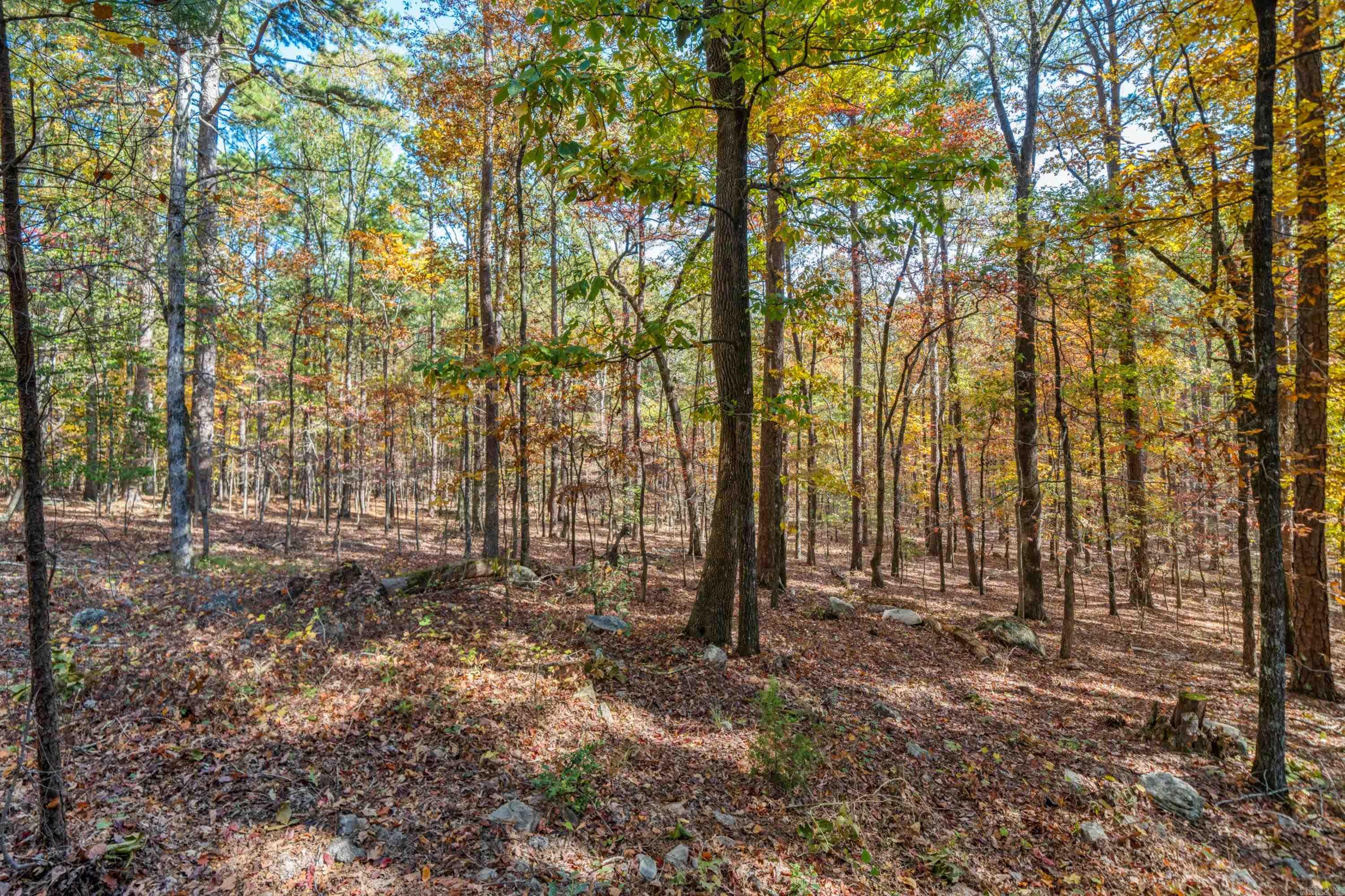 32  LODOSA  Hot Springs Village, AR
