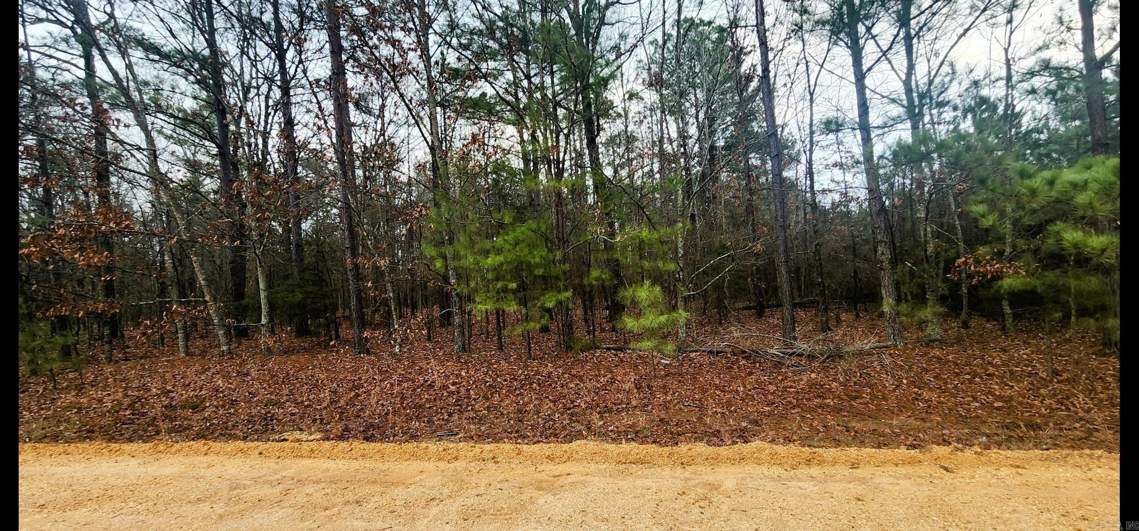 Lot 1  Bear  Rison, AR