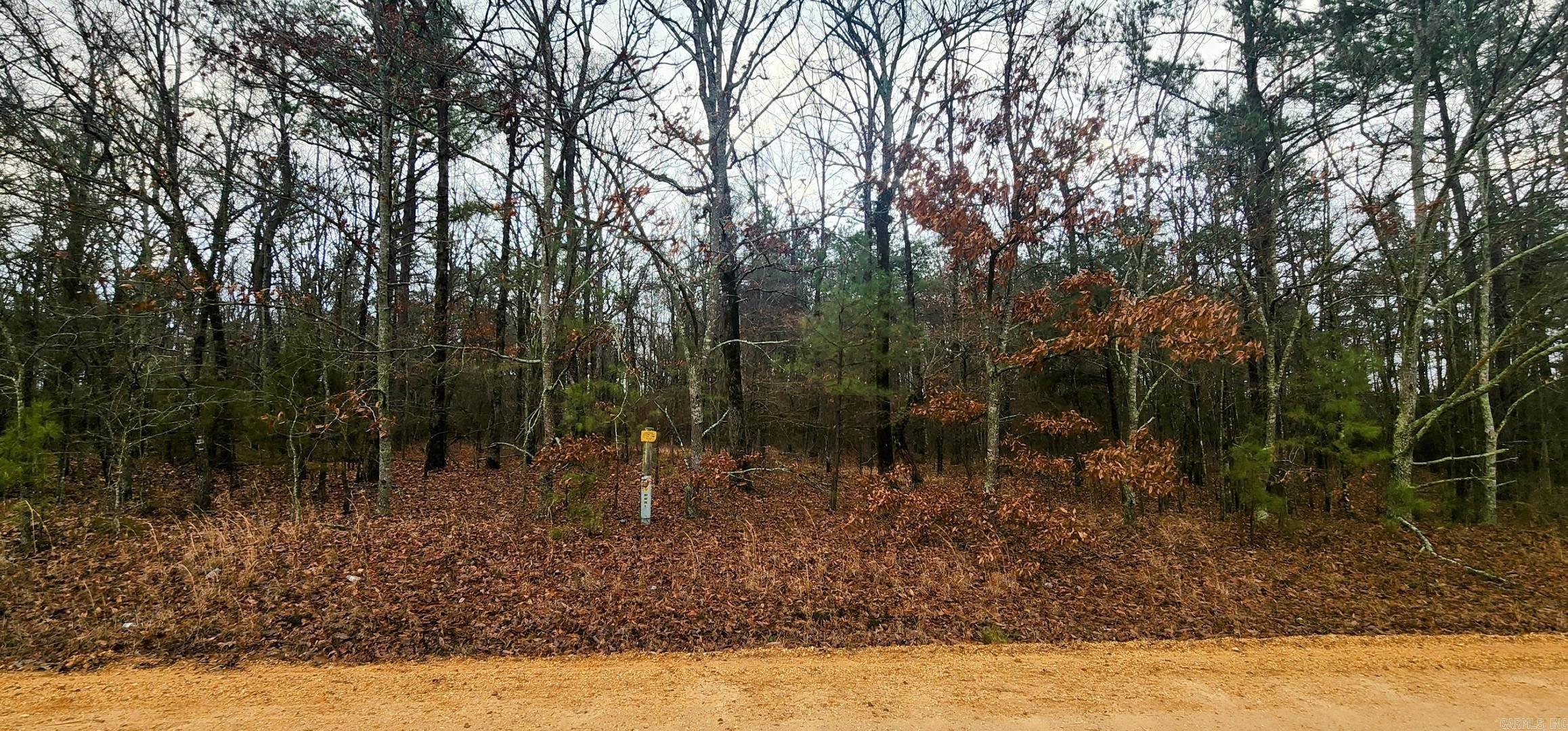 Lot 1  Bear  Rison, AR