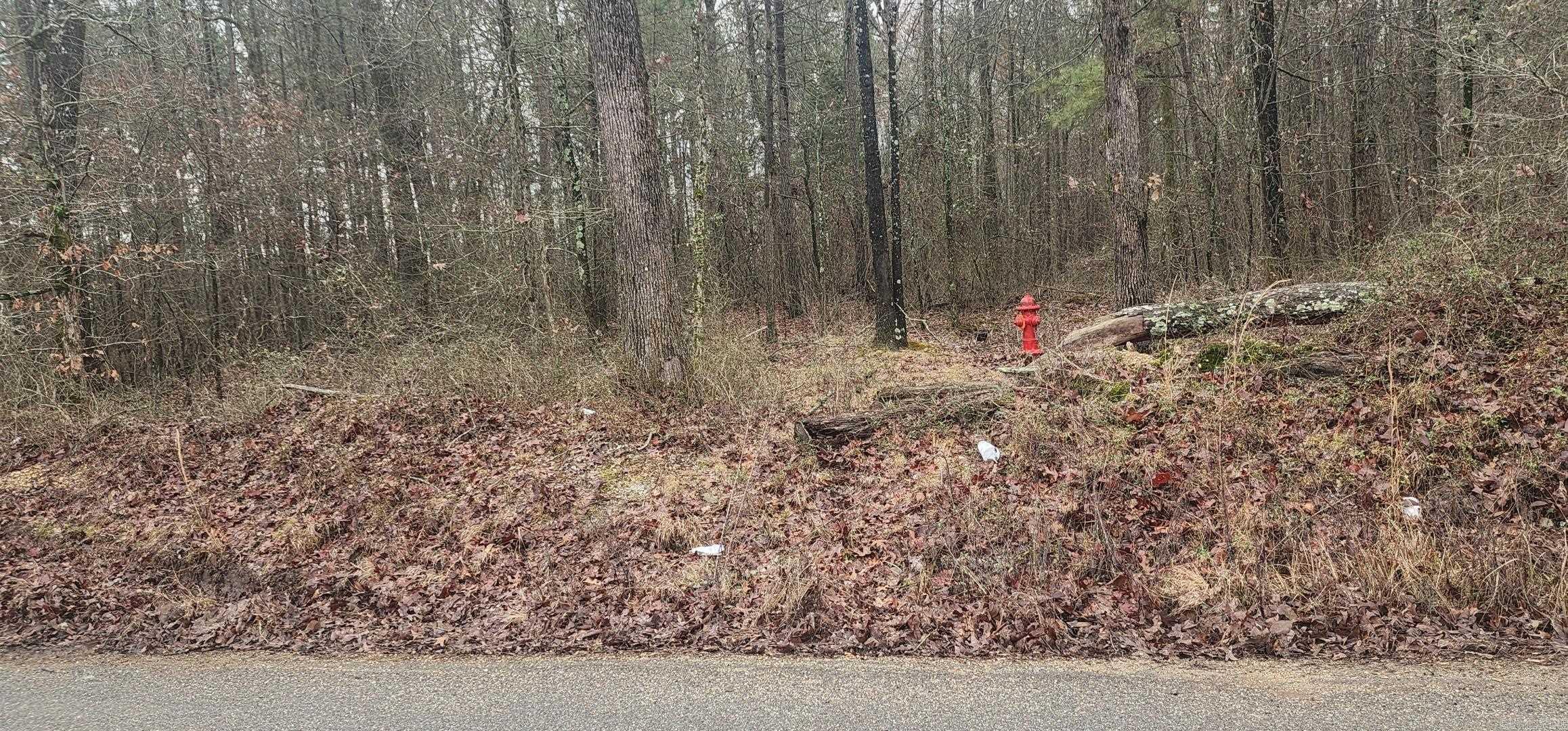 Lot 4  Smith  Rison, AR