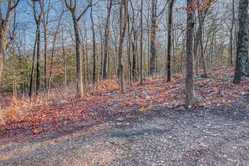781  NC 3421  Marble Falls, AR