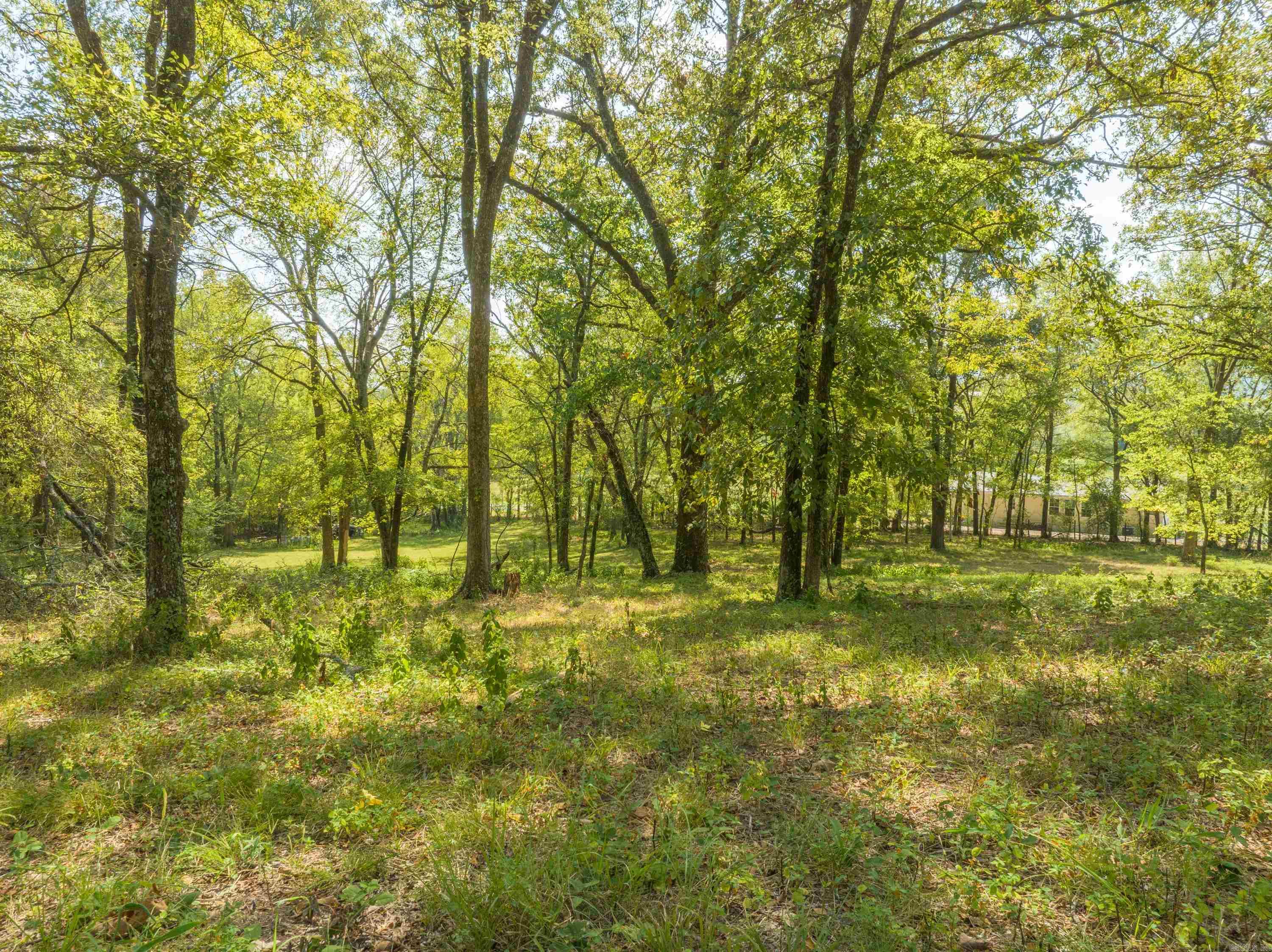 495  Amity  Hot Springs, AR