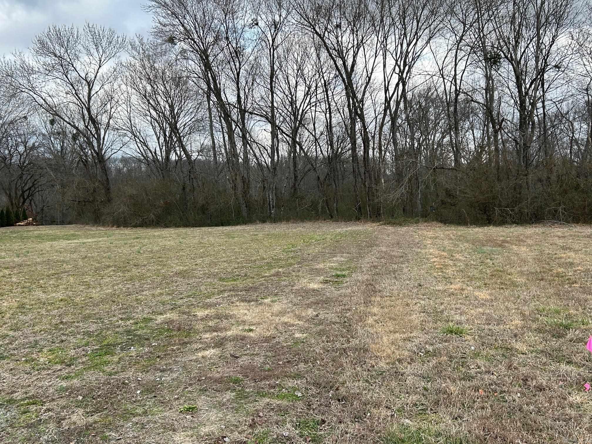 290  Raintree Valley  Pangburn, AR