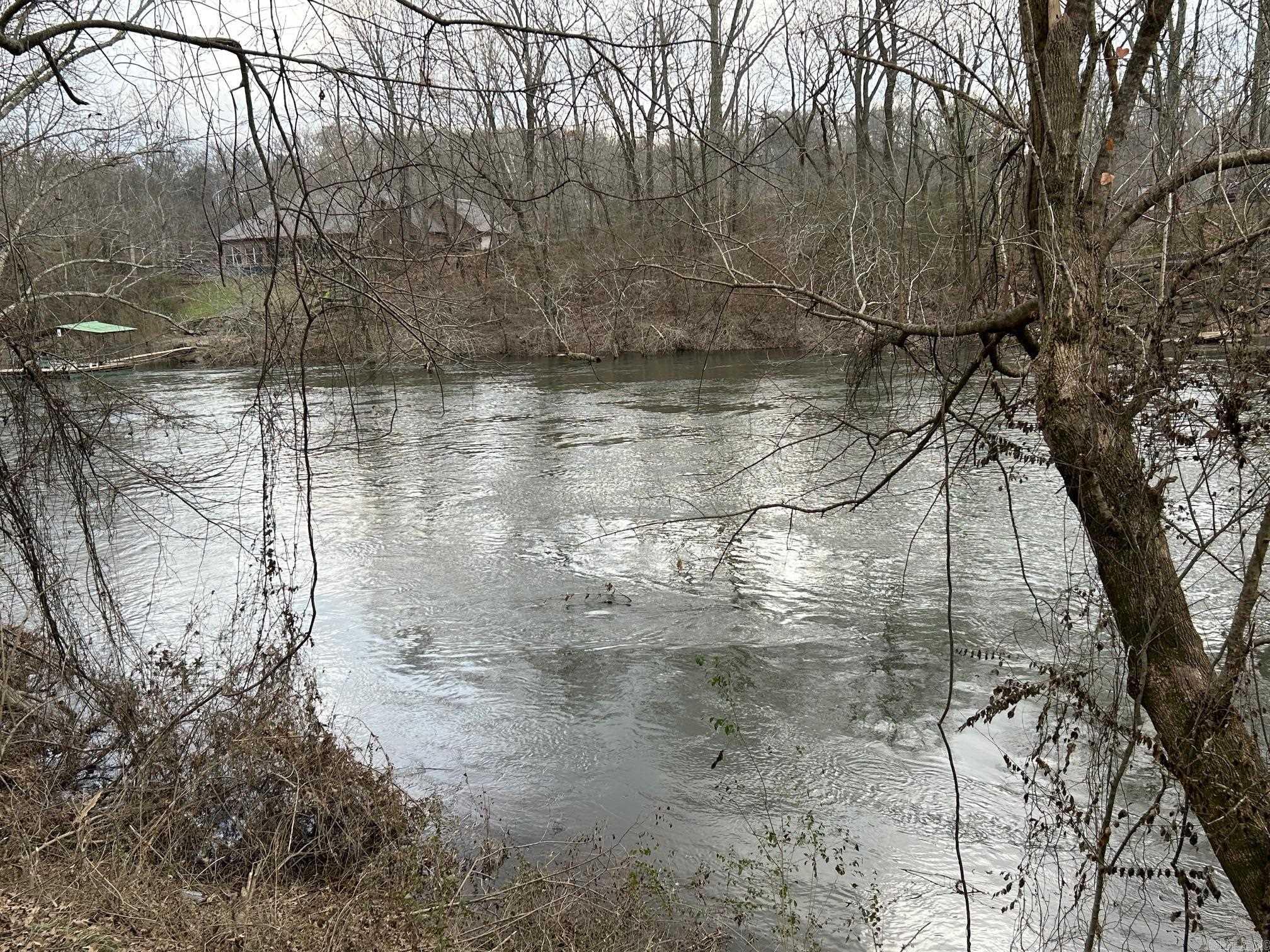 290  Raintree Valley  Pangburn, AR