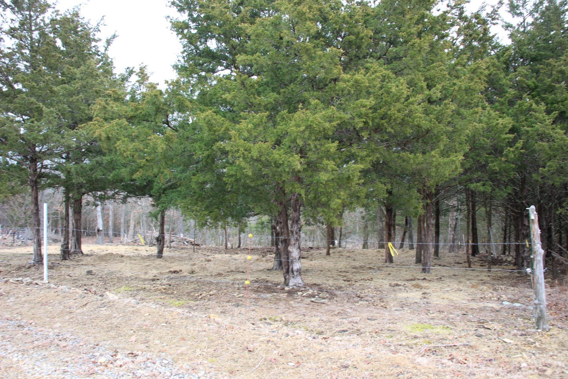 178  Round Robin  Theodosia, AR