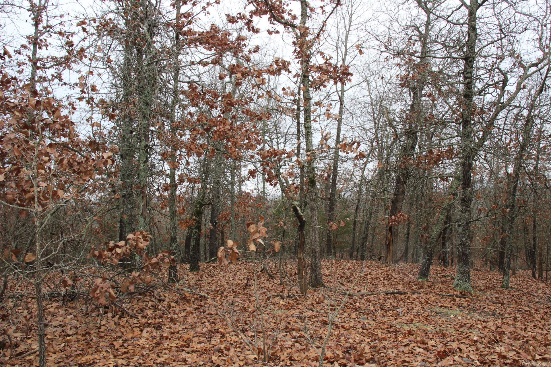 178  Round Robin  Theodosia, AR