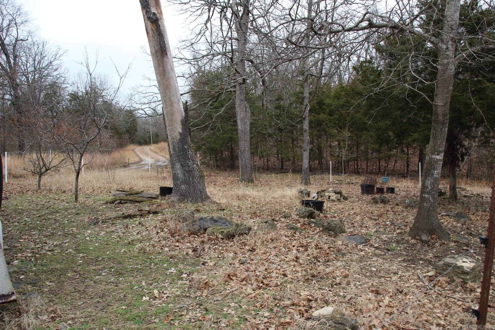 178  Round Robin  Theodosia, AR