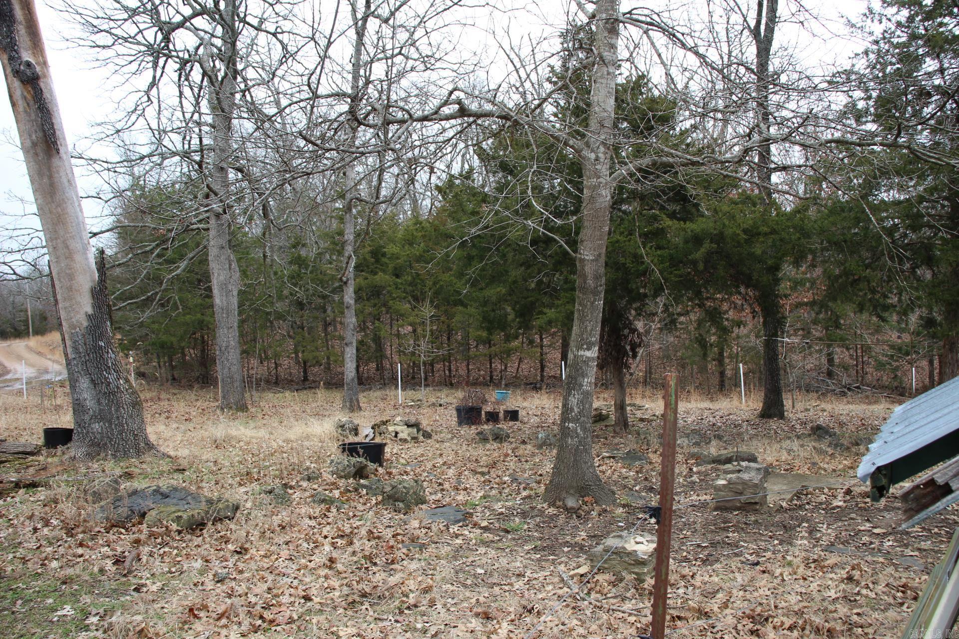 178  Round Robin  Theodosia, AR