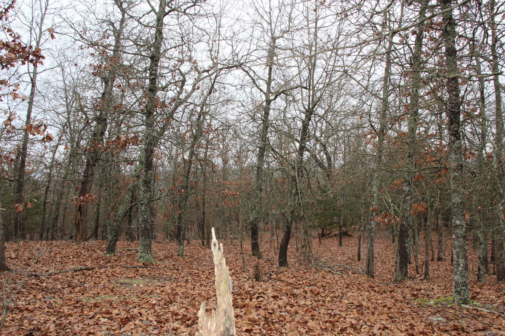 178  Round Robin  Theodosia, AR