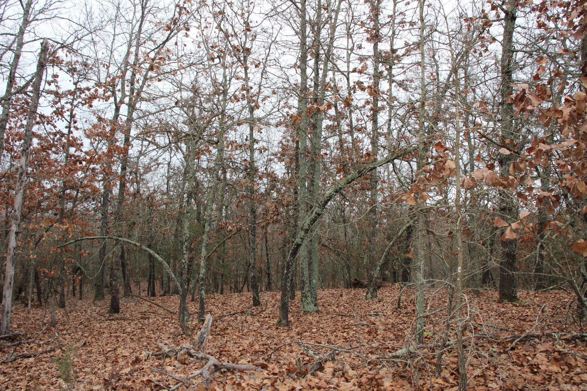 178  Round Robin  Theodosia, AR