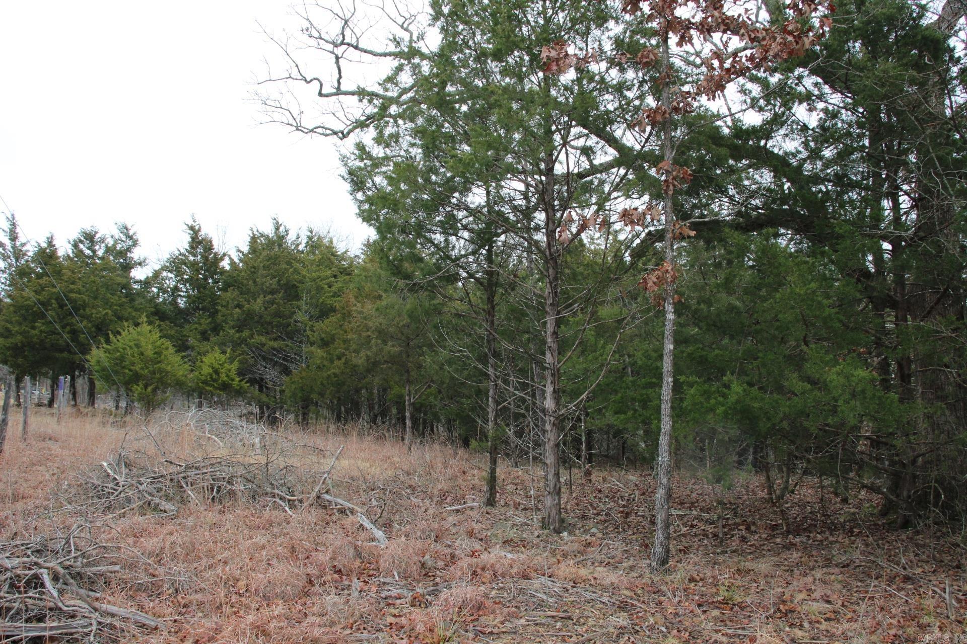 178  Round Robin  Theodosia, AR