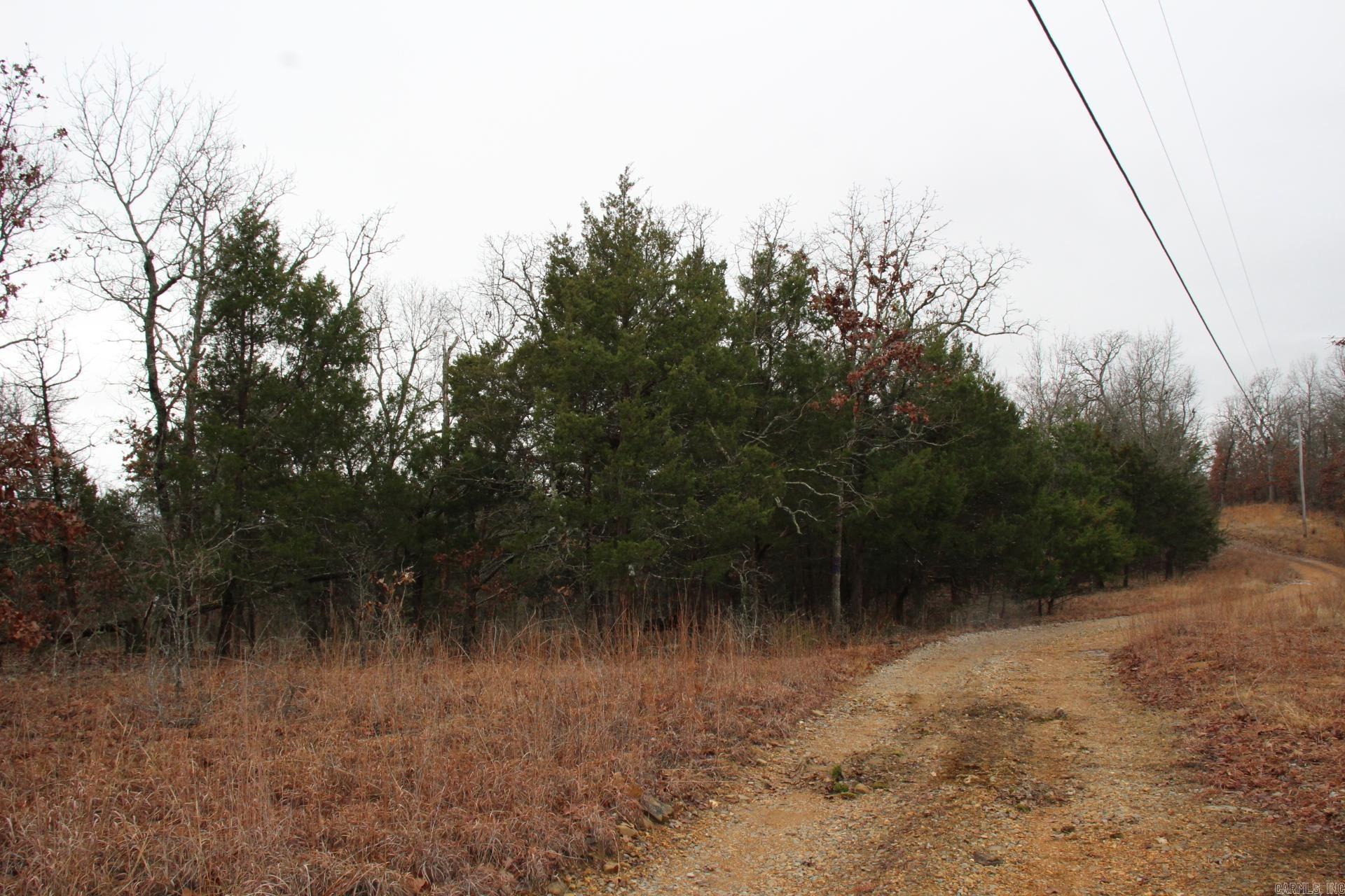 178  Round Robin  Theodosia, AR