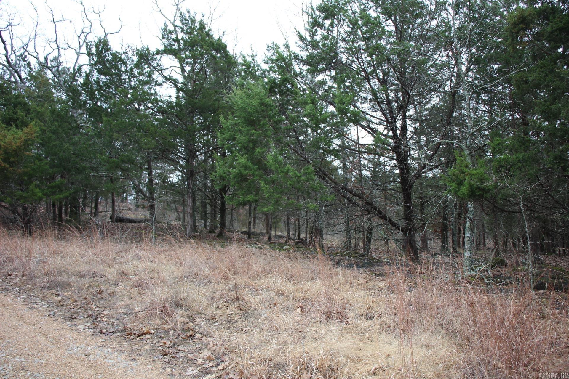 178  Round Robin  Theodosia, AR