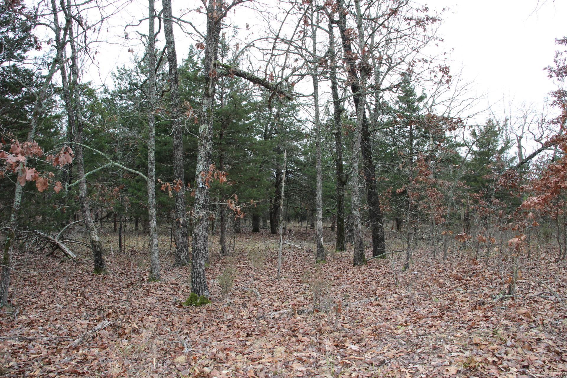 178  Round Robin  Theodosia, AR