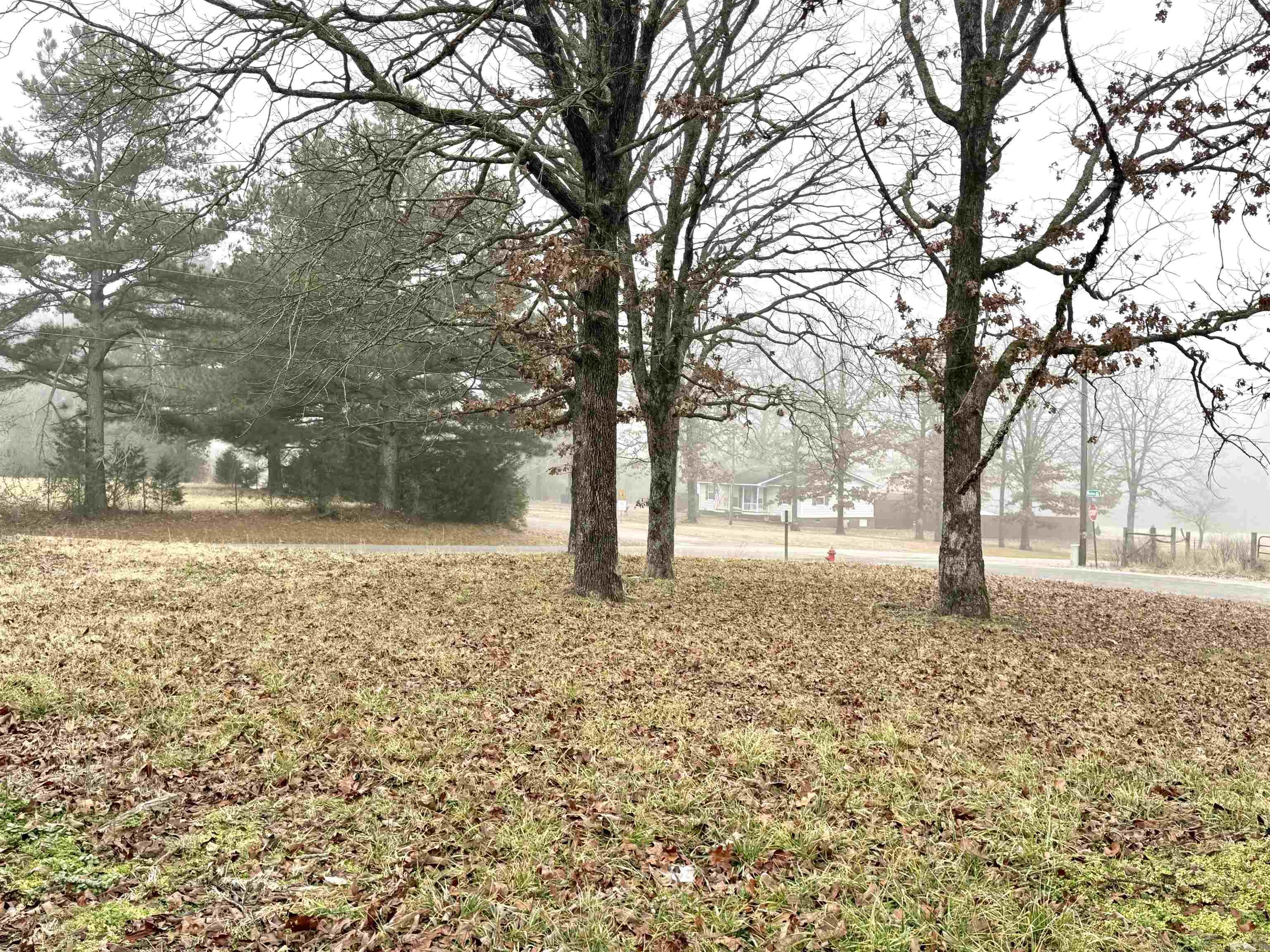 560  Dripping Springs  Judsonia, AR