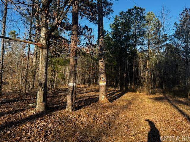1800  Chaney  Redfield, AR