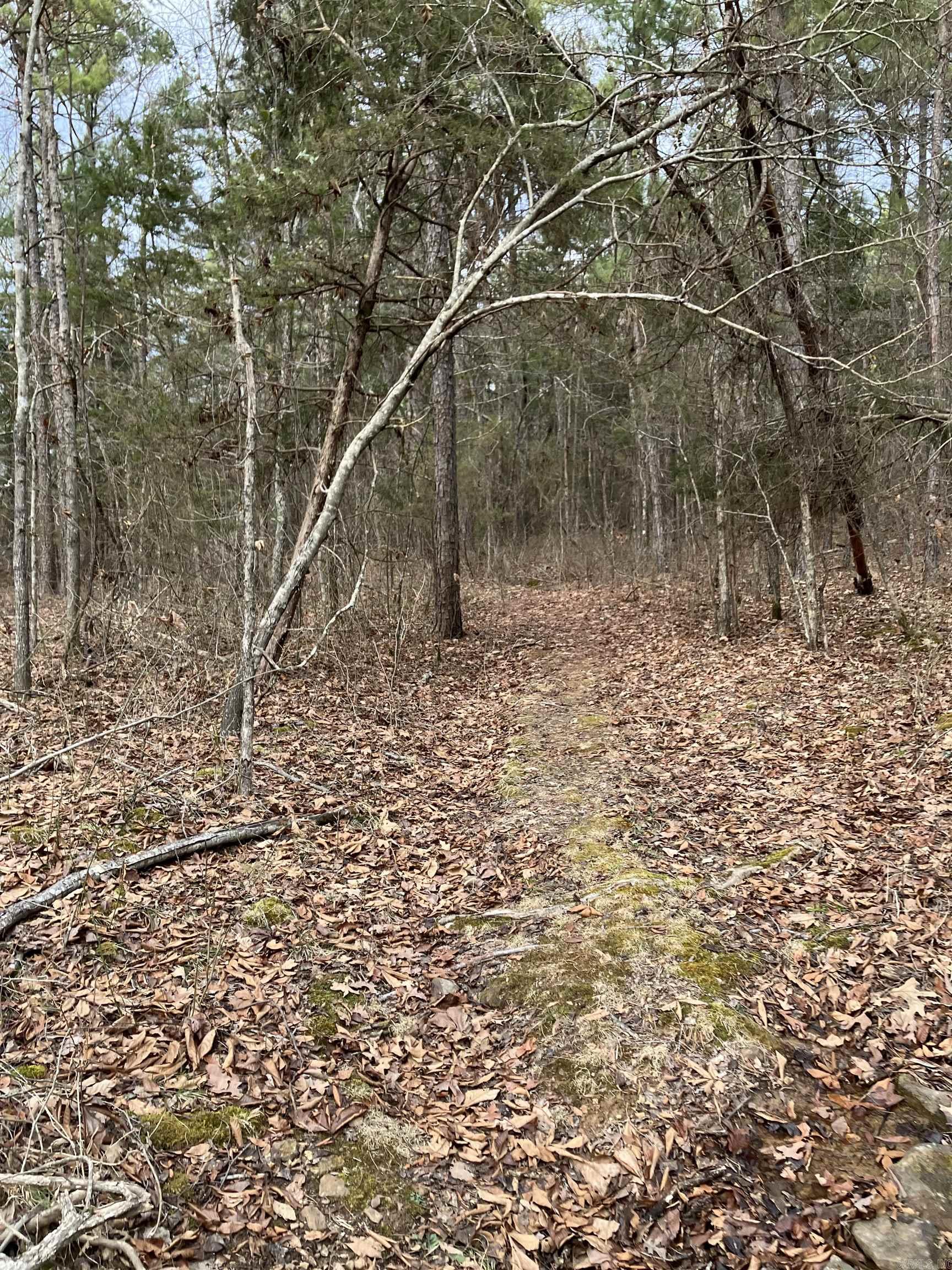 618  Keystone Rd  Shirley, AR