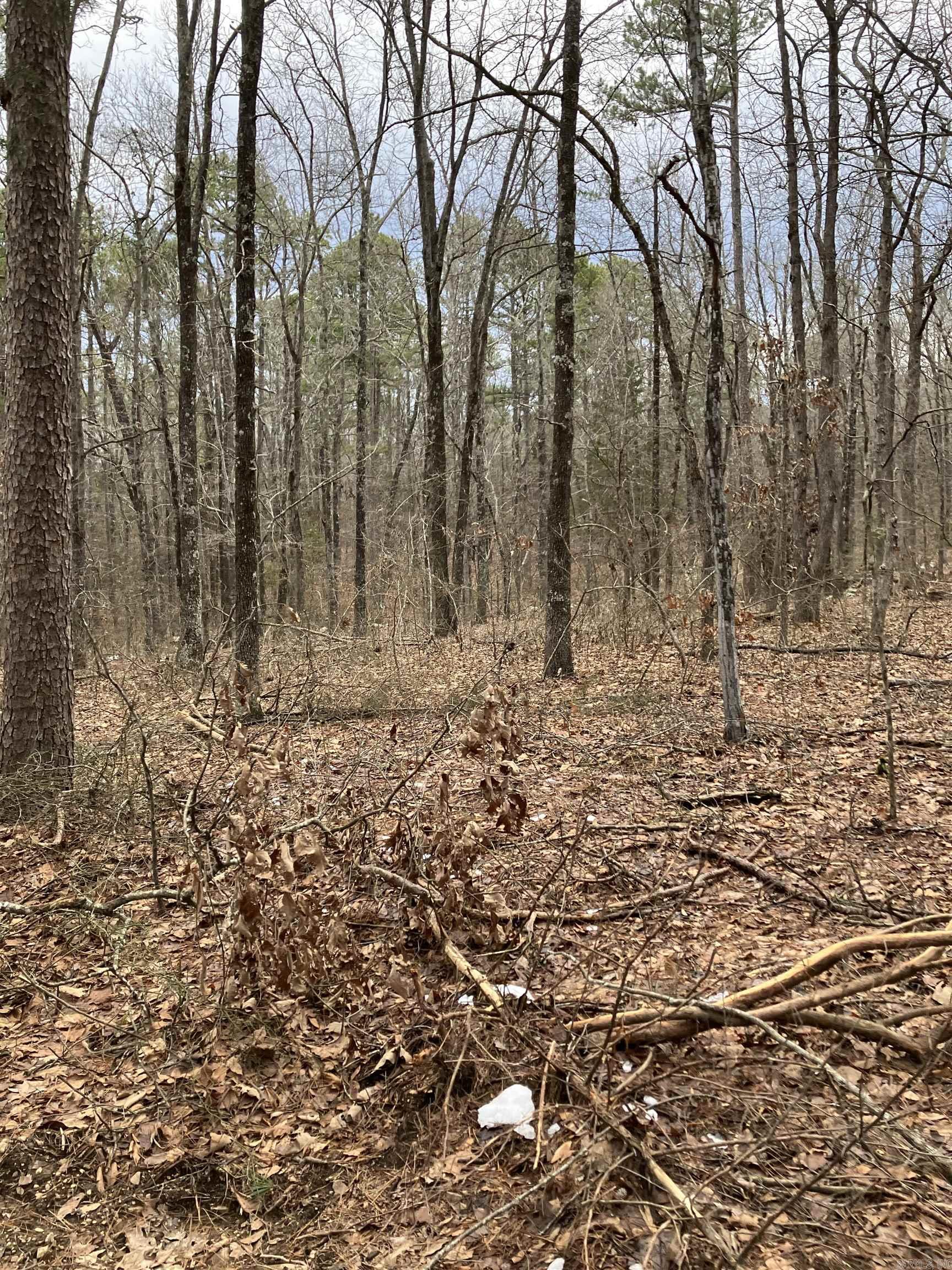 618  Keystone Rd  Shirley, AR